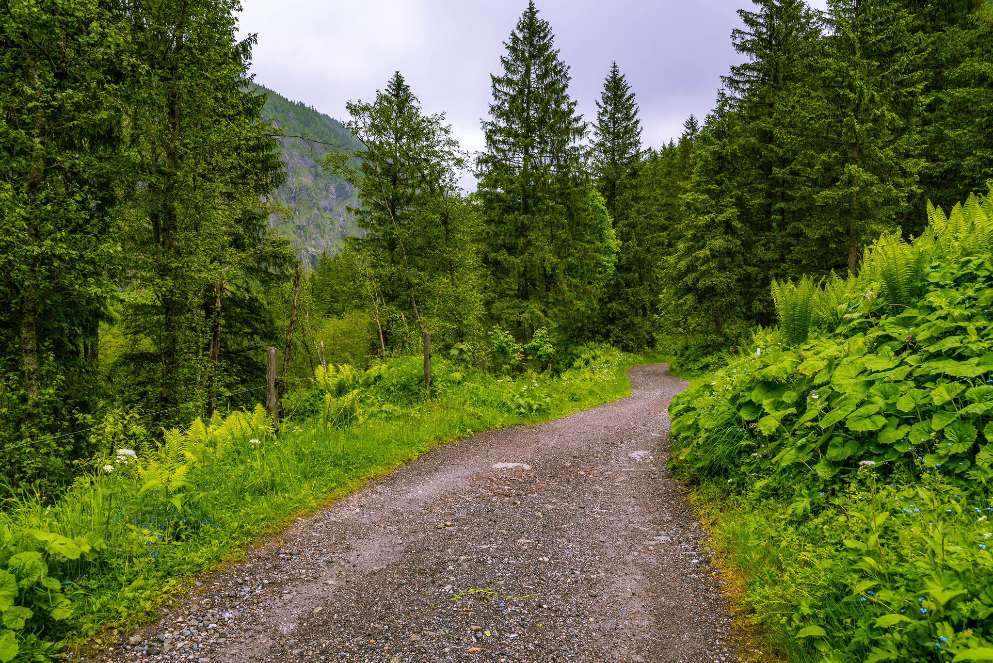 Wallpapers landscape trees Bad Gastein on the desktop