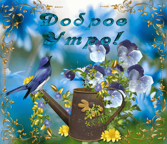 Postcard on the theme frame watering can flowers download for free
