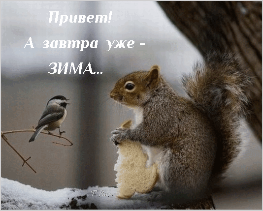 Открытка на тему последний день осени природа скачать бесплатно