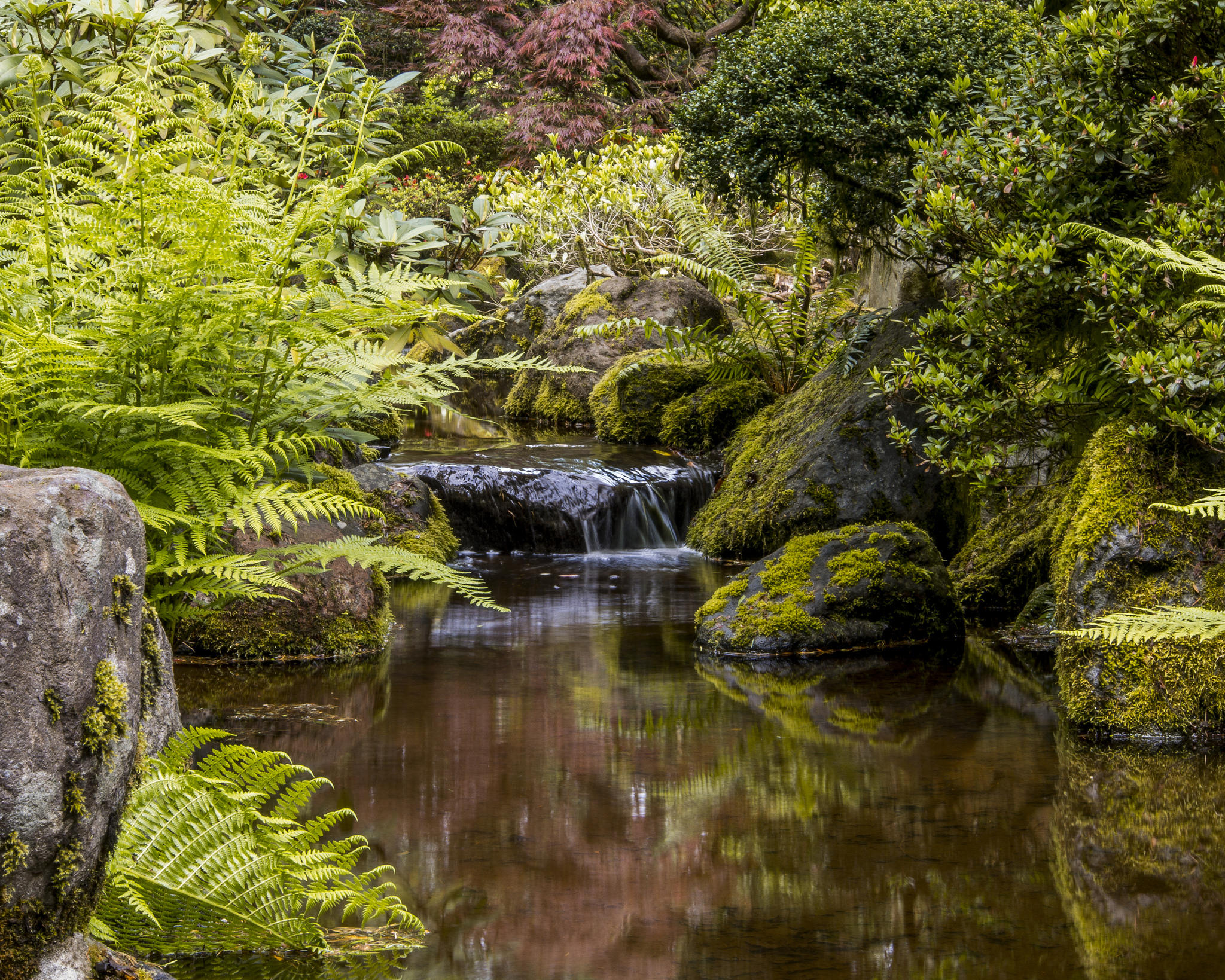 Wallpapers Oregon waterfall landscape on the desktop