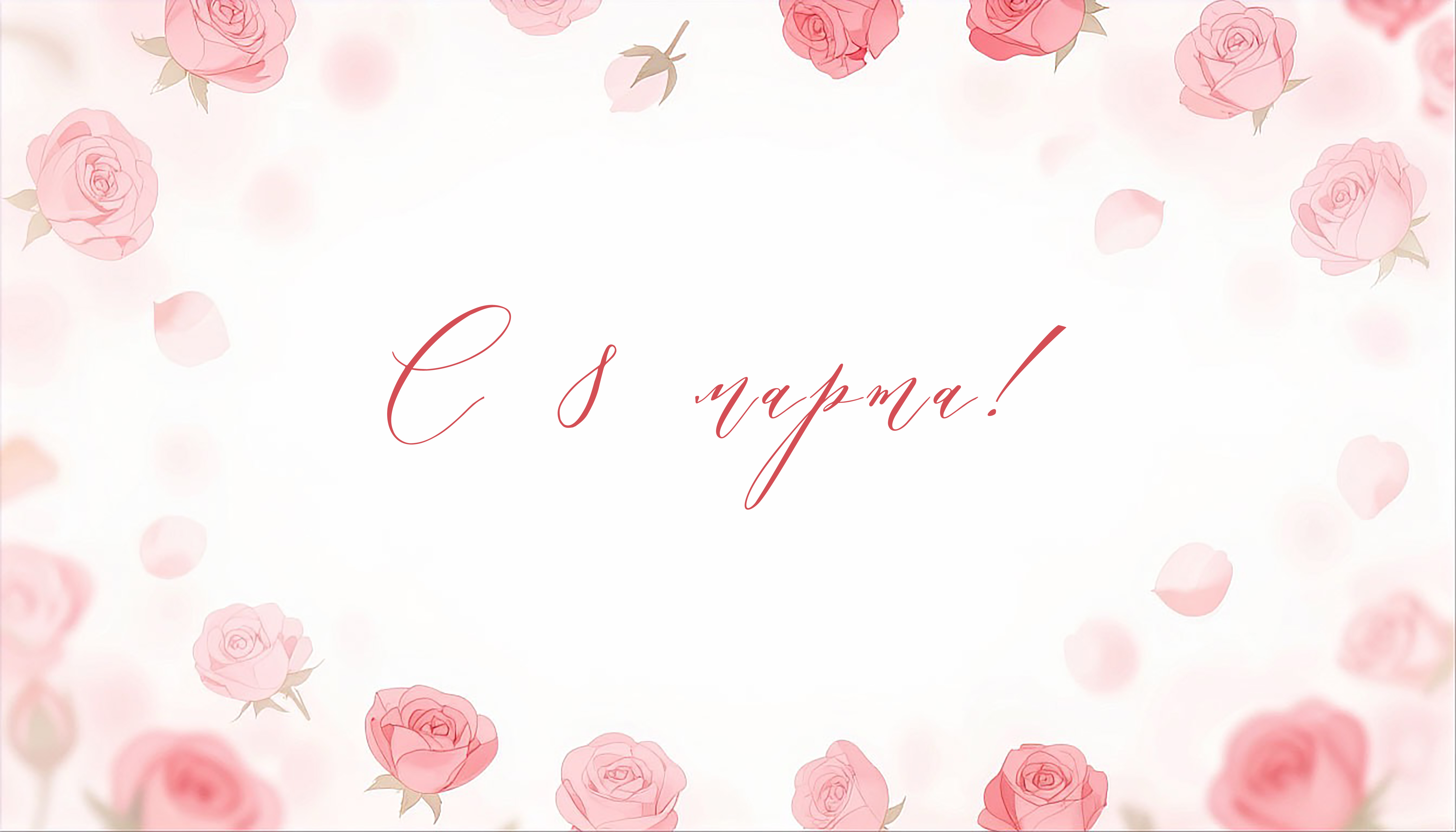 免费明信片3月8日起的招标明信片