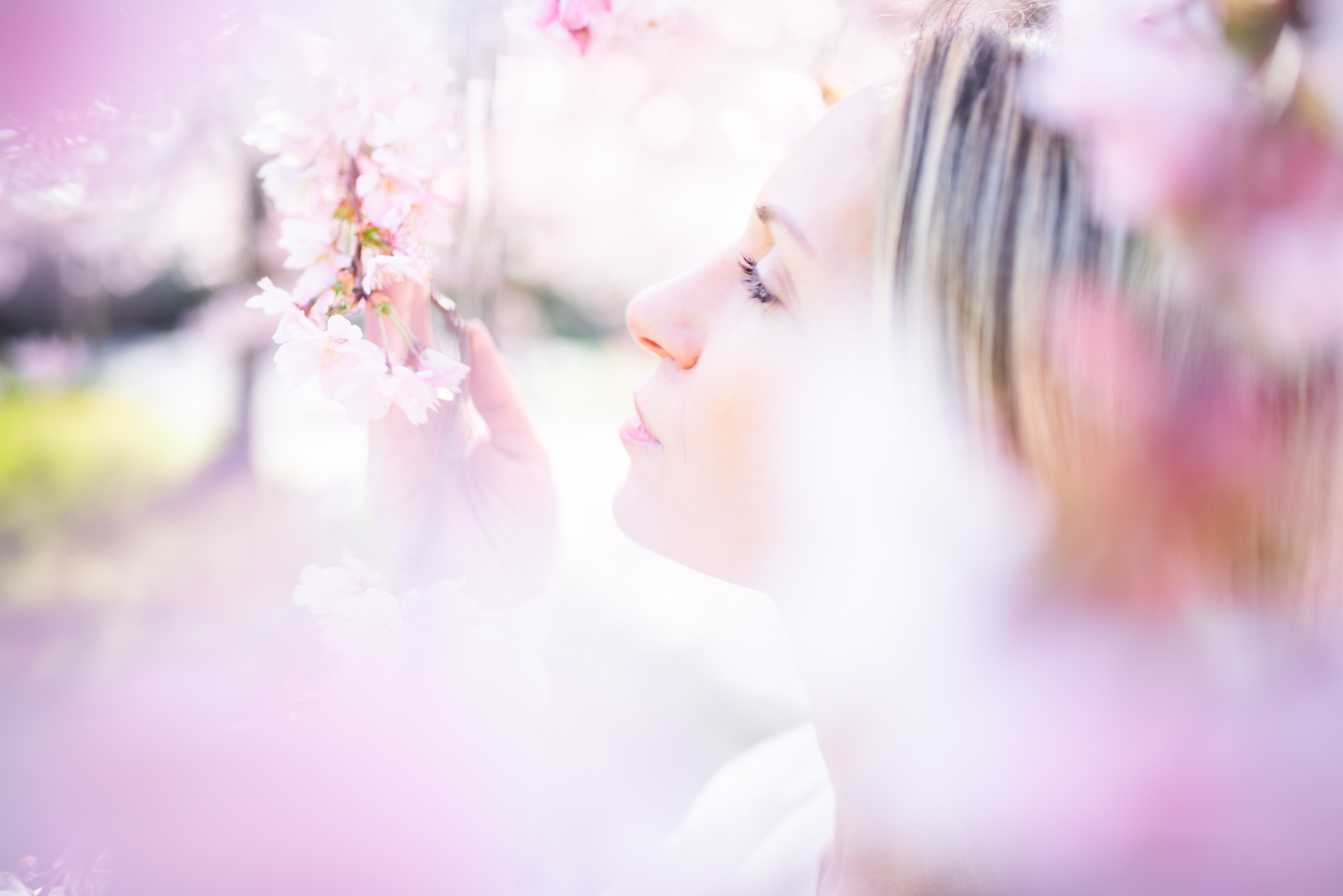 桌面上的壁纸女性 鲜花 模糊的背景
