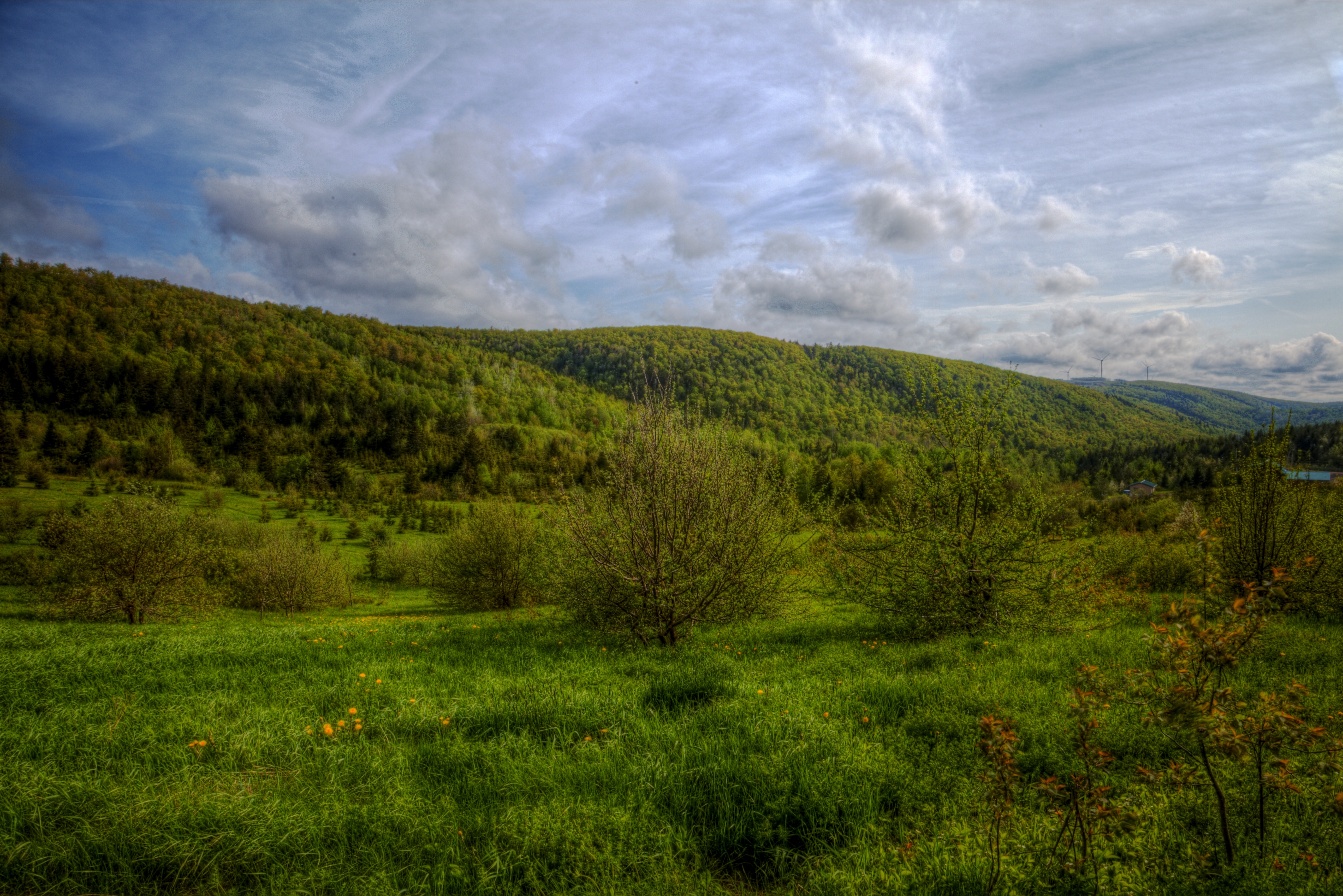 Зеленые красивые холмы