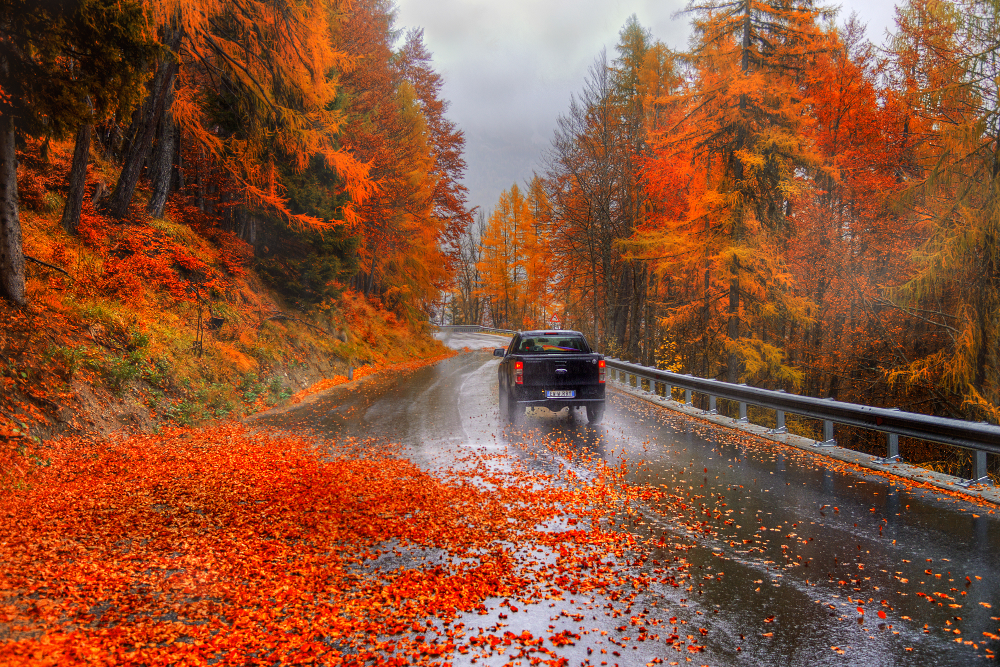 Wallpapers autumn rain wet asphalt on the desktop