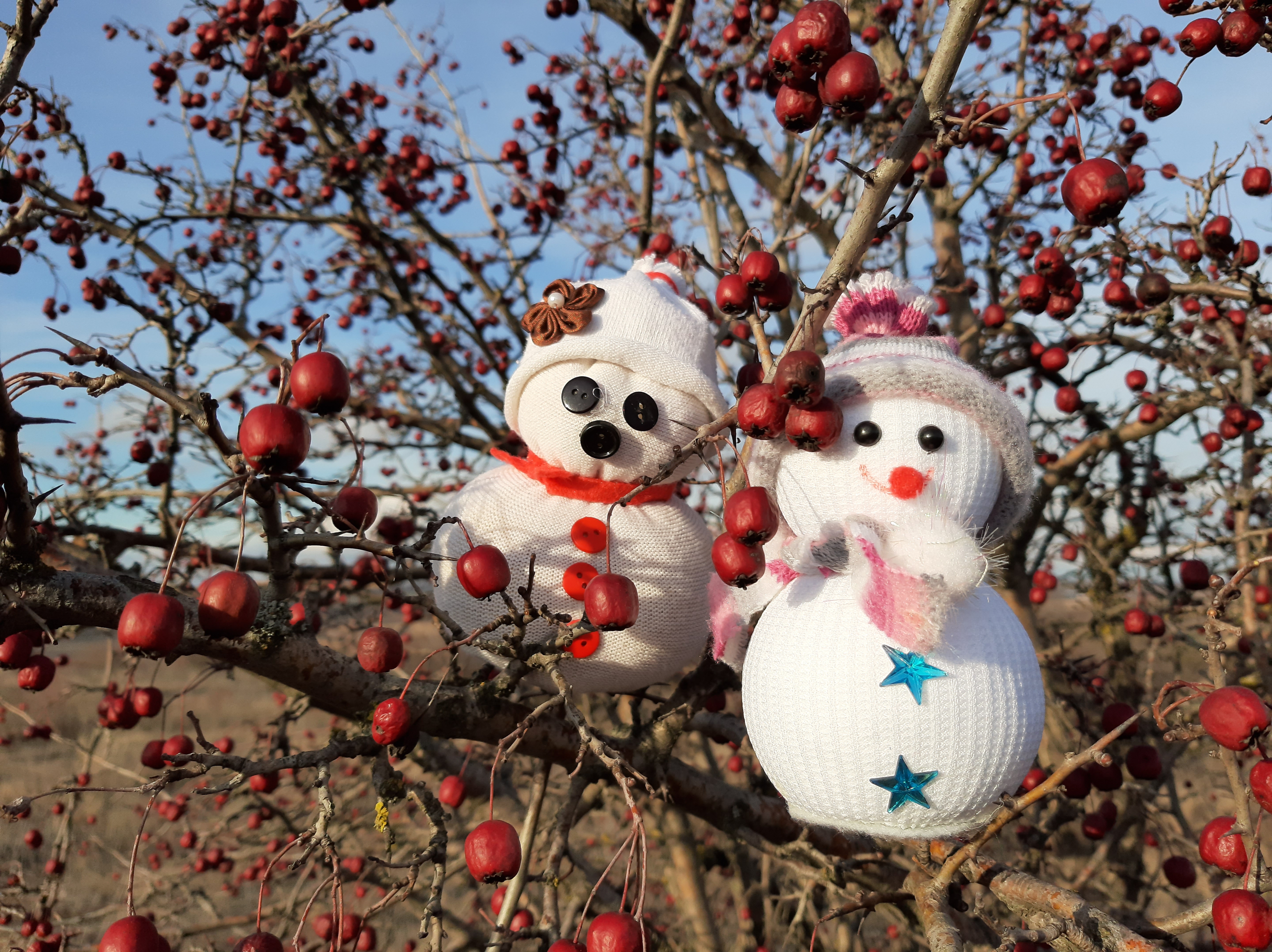 苹果树枝上的两个雪人。