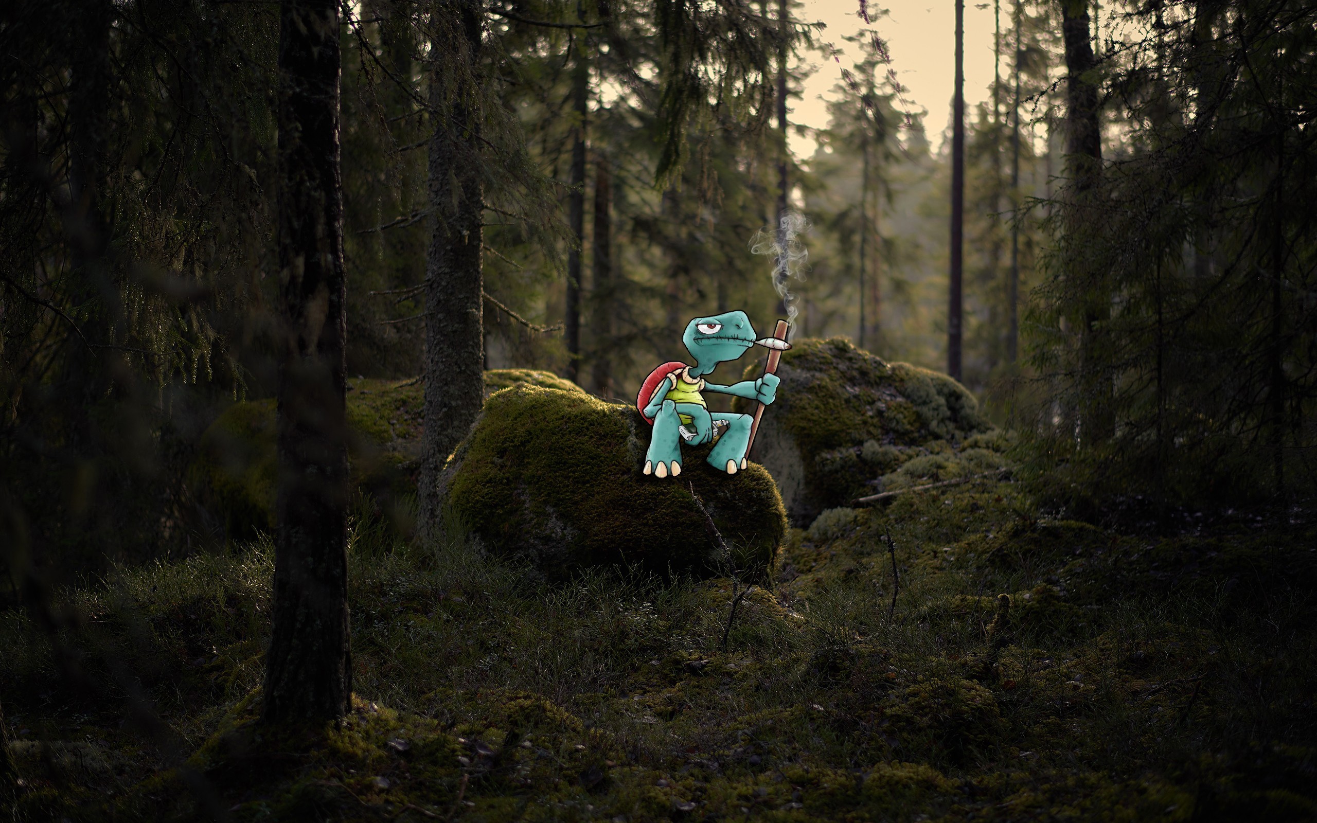 Wallpapers forest green moss on the desktop