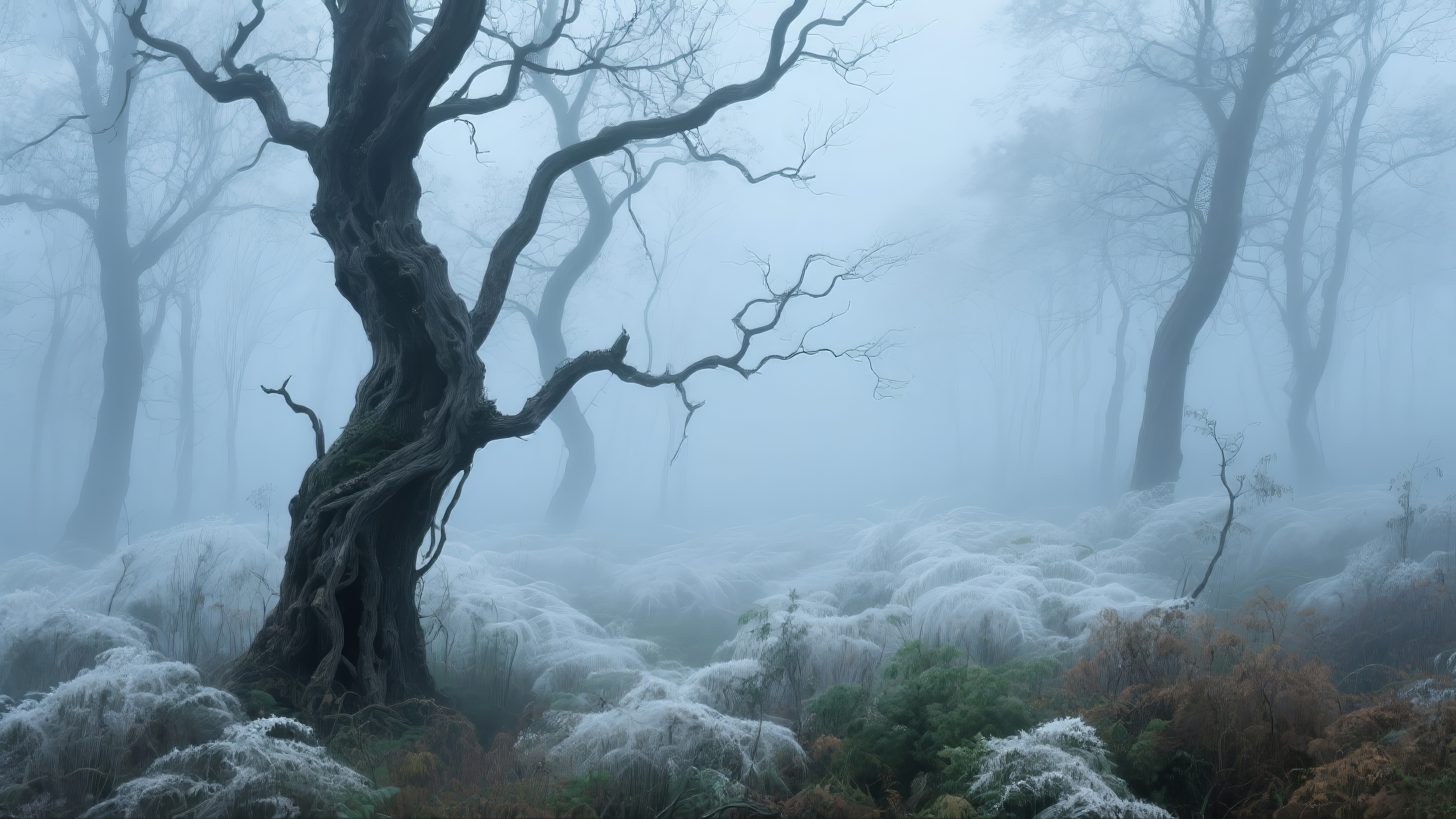 Туманный лес с деревьями и кустами