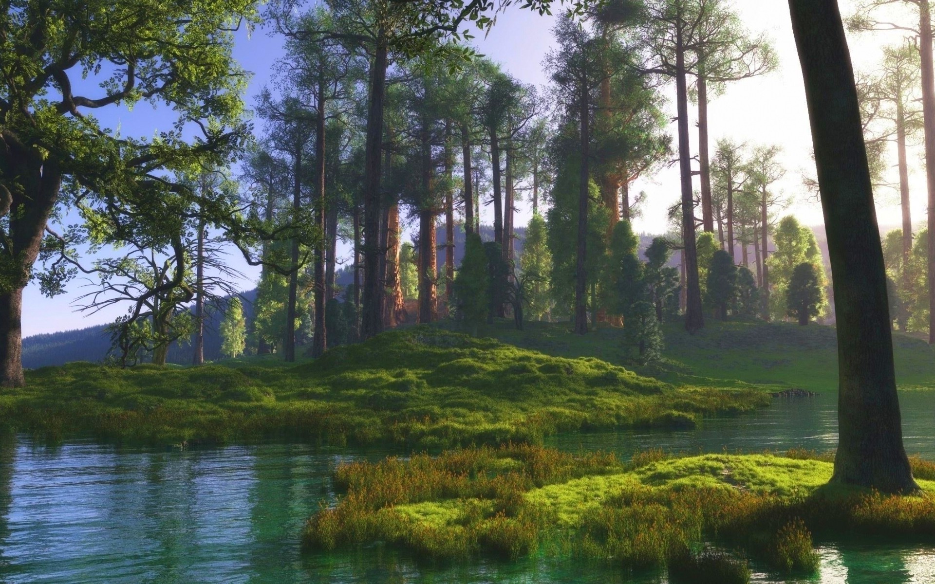 A picturesque forest landscape with a pond surrounded by tall trees and green shores.