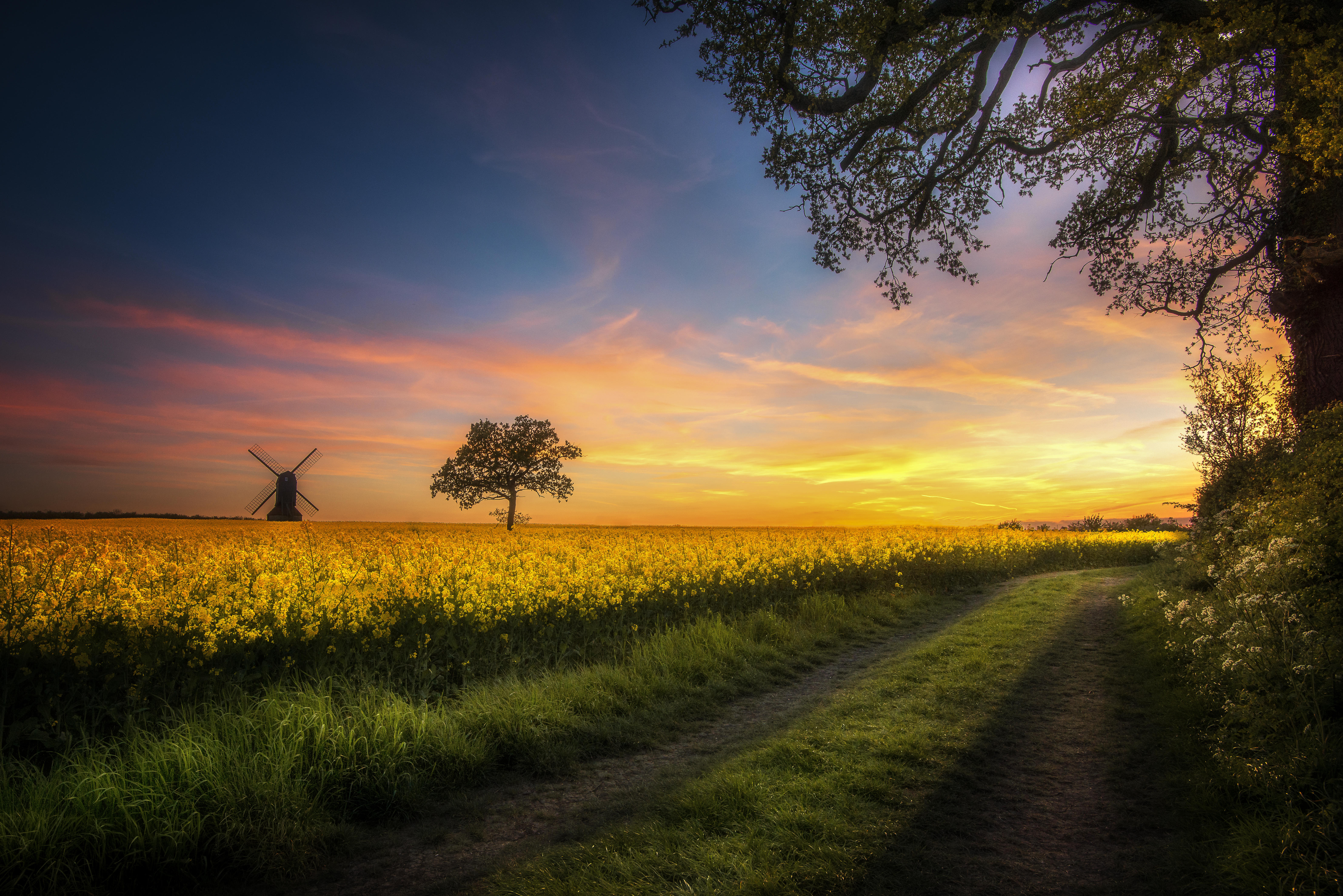 Wallpapers road mill field on the desktop