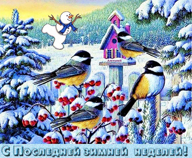 主题为金翅雀 鸟类 冬季的明信片免费下载