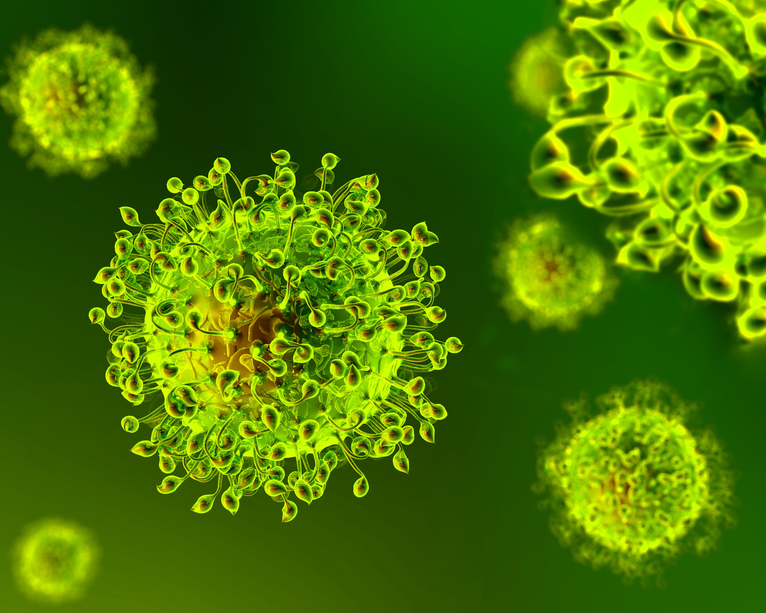 Wallpapers coronavirus cells green background on the desktop