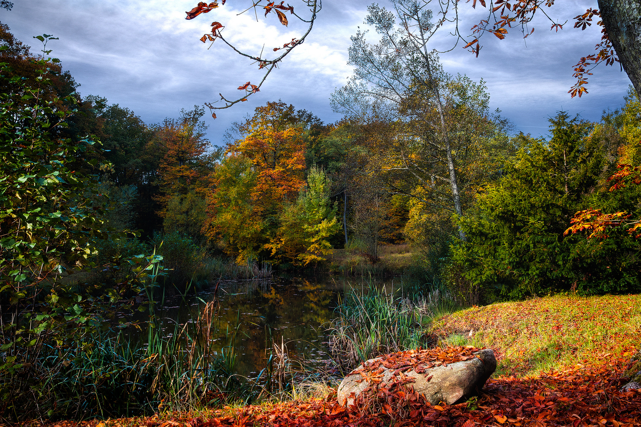 Free photo To phone body of water, forest high quality wallpaper