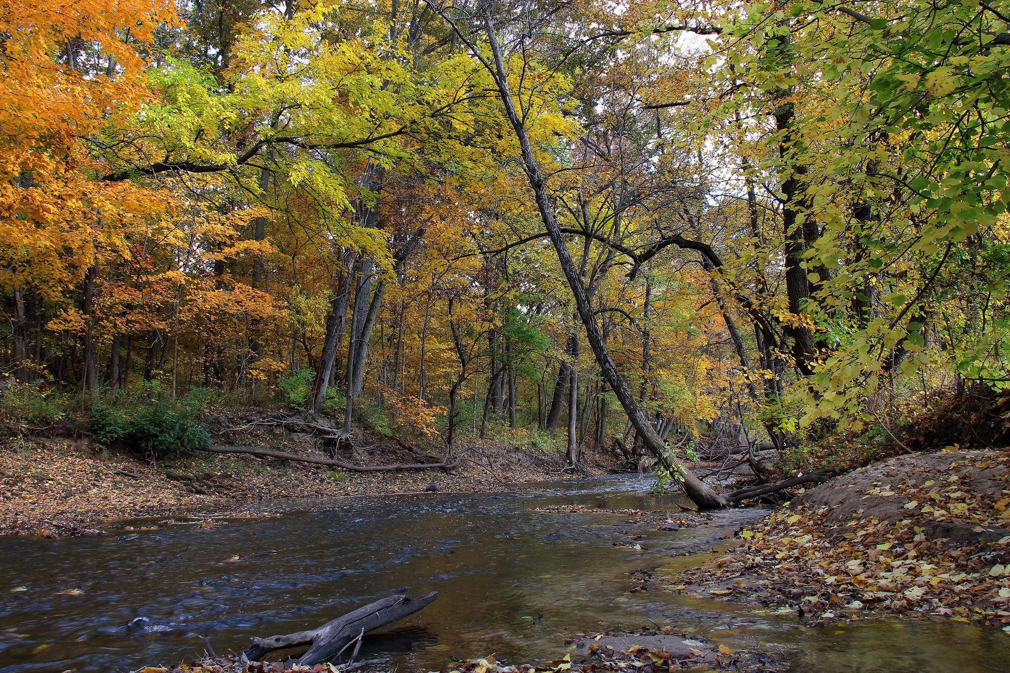 Wallpapers landscape autumn trees nature on the desktop