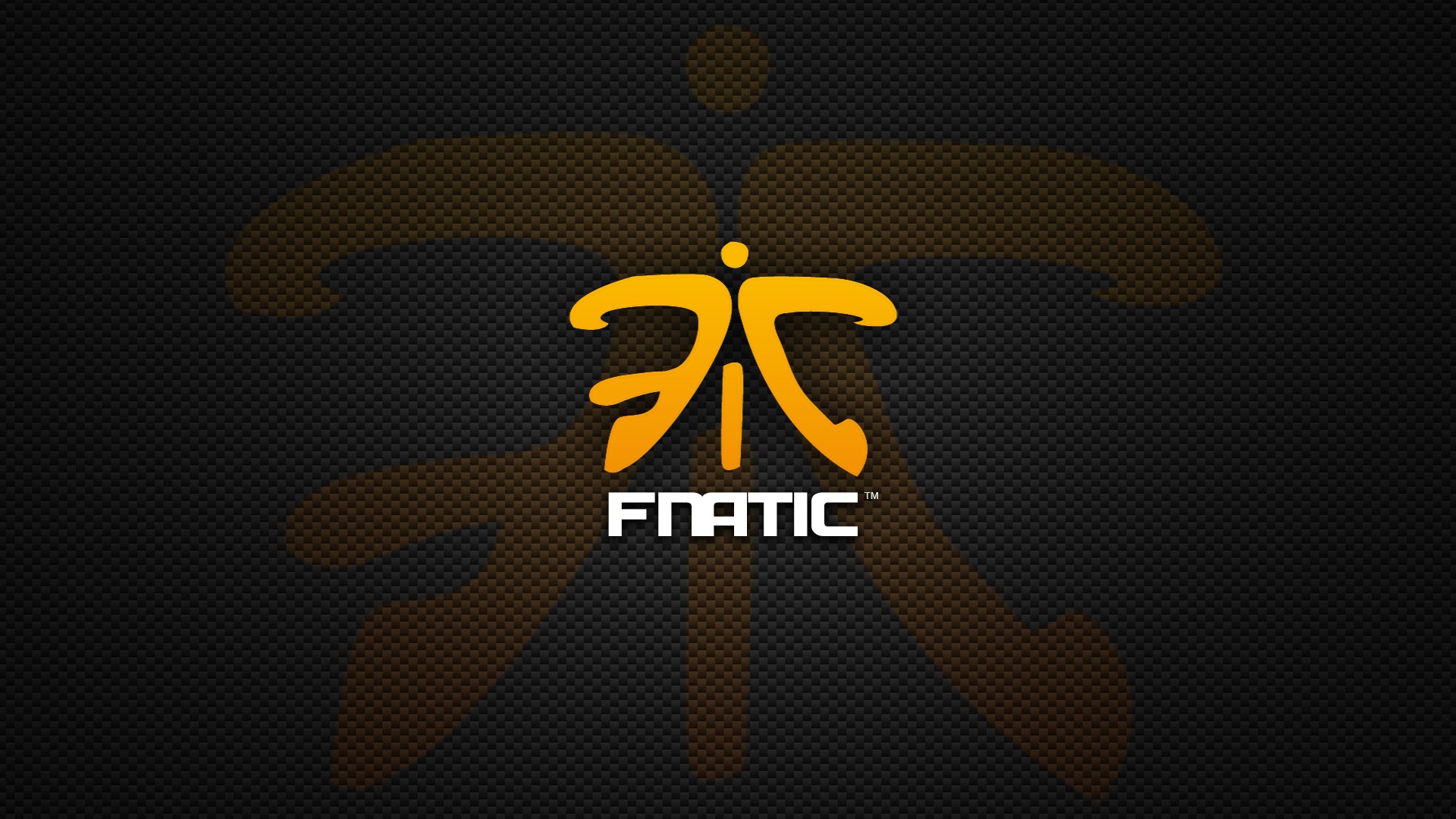 Wallpapers Fnatic Wallpaper cars on the desktop