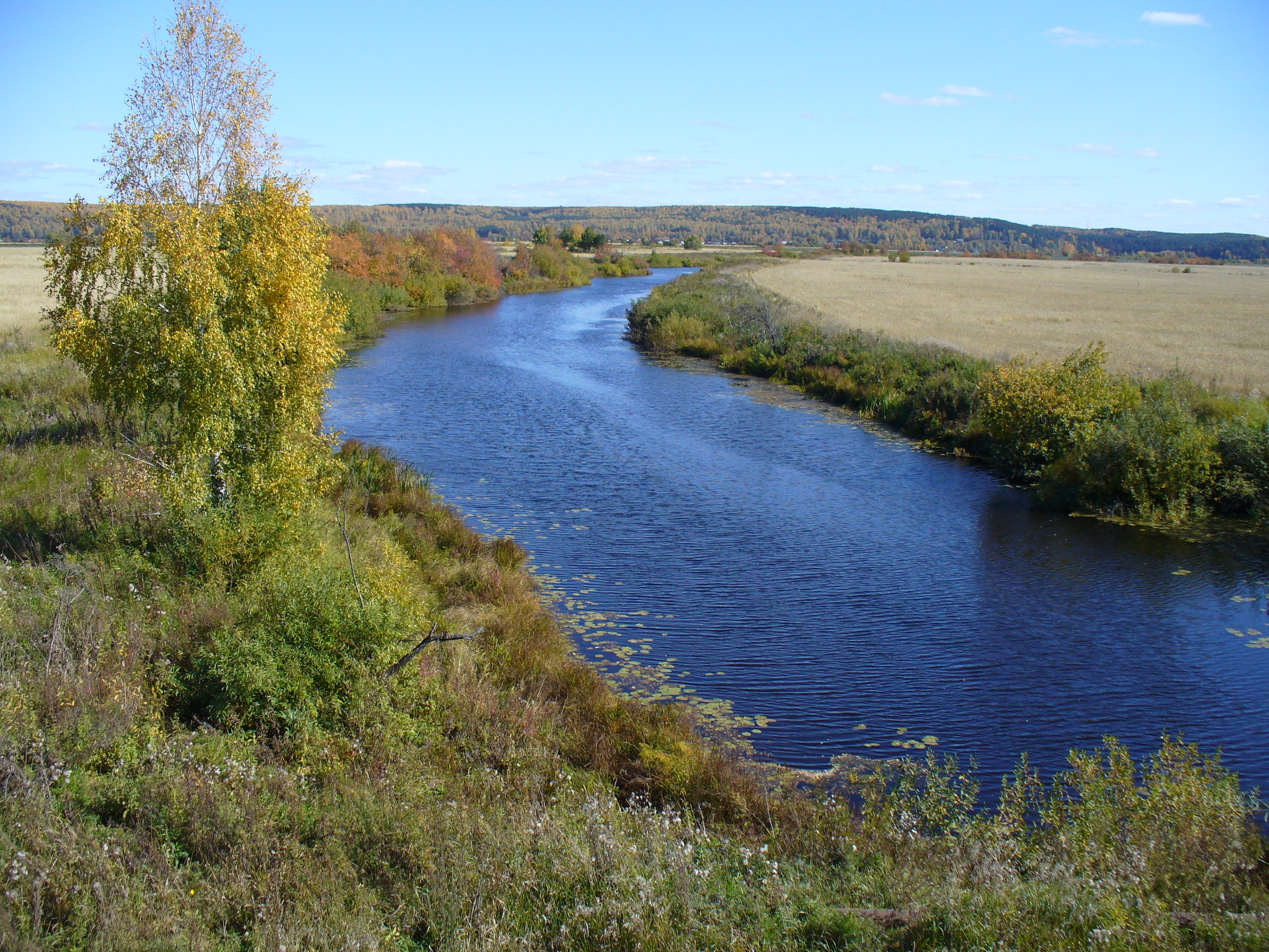 Приток р.Томь - р.Чёрная речка осенью