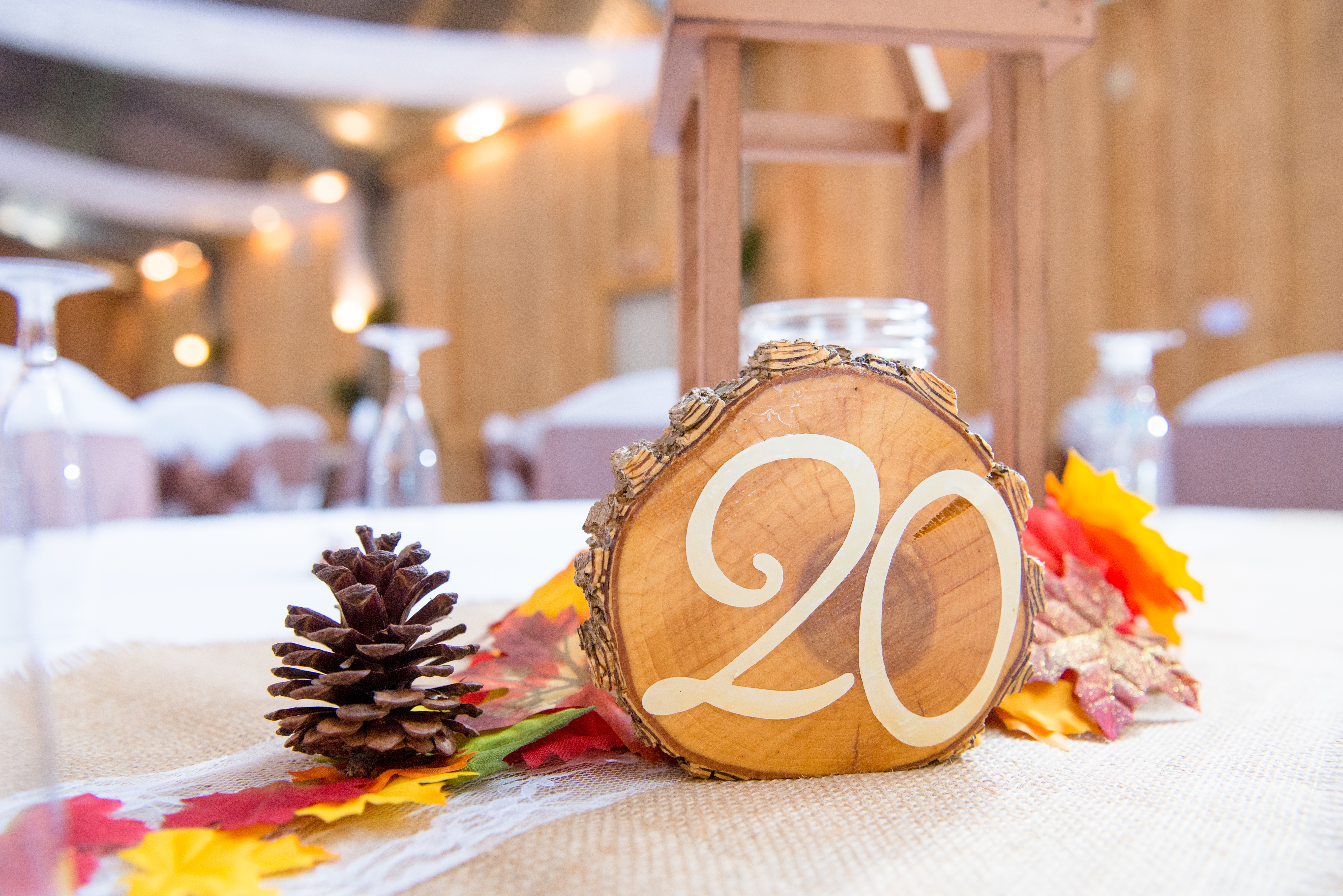 Wallpapers conifer cone table autumn on the desktop