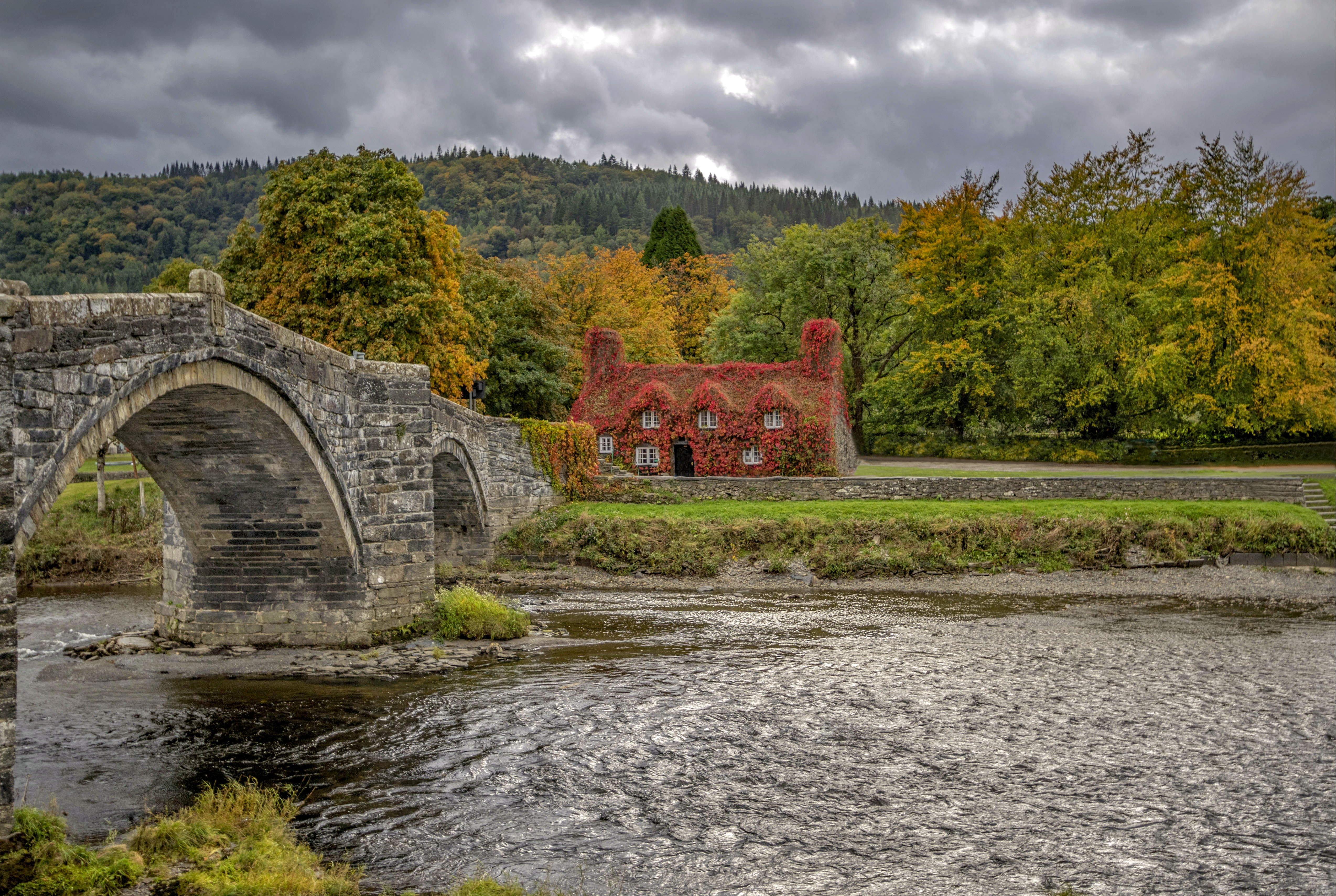 Wallpapers river landscape bridge on the desktop