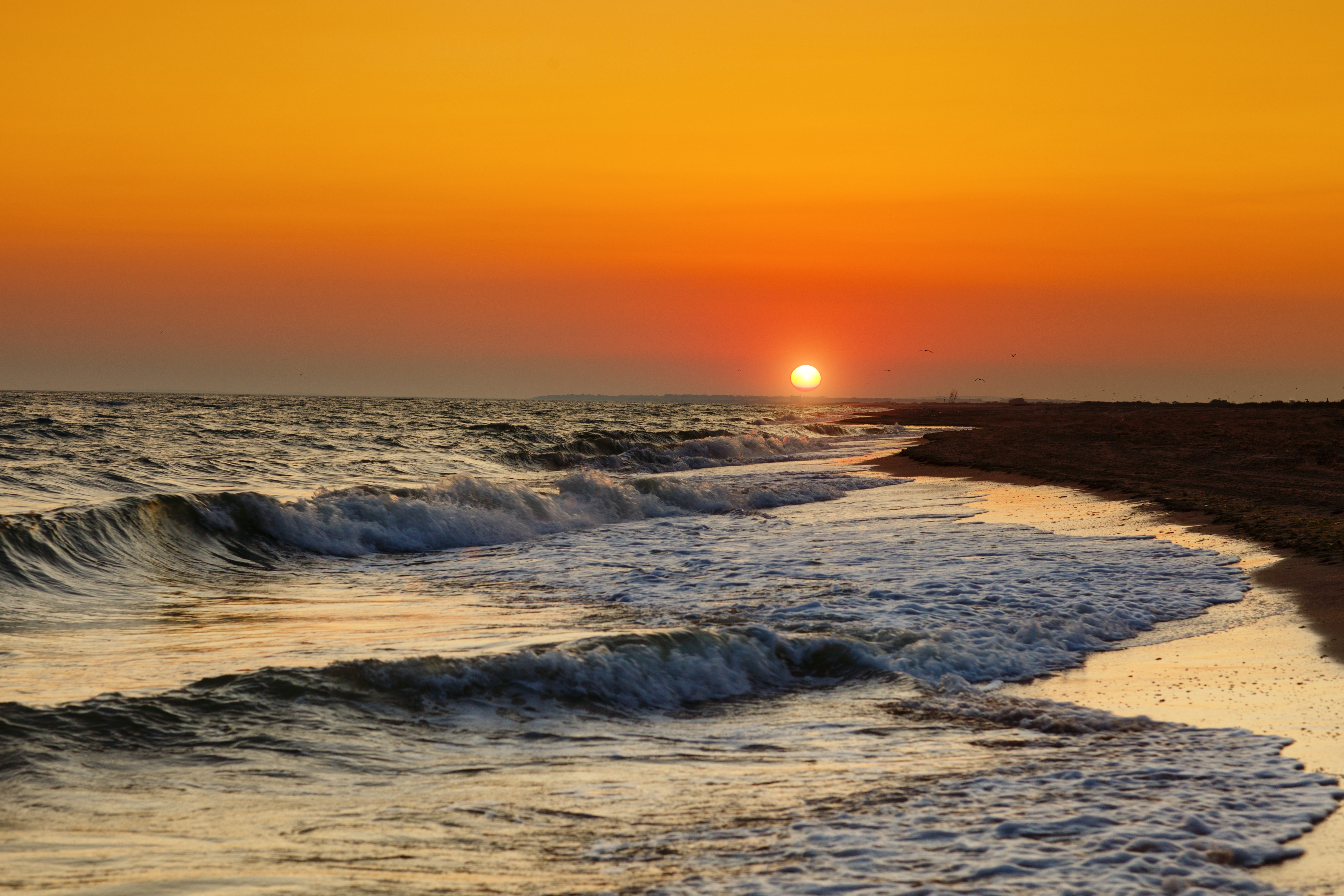 免费照片波浪和夕阳的天空