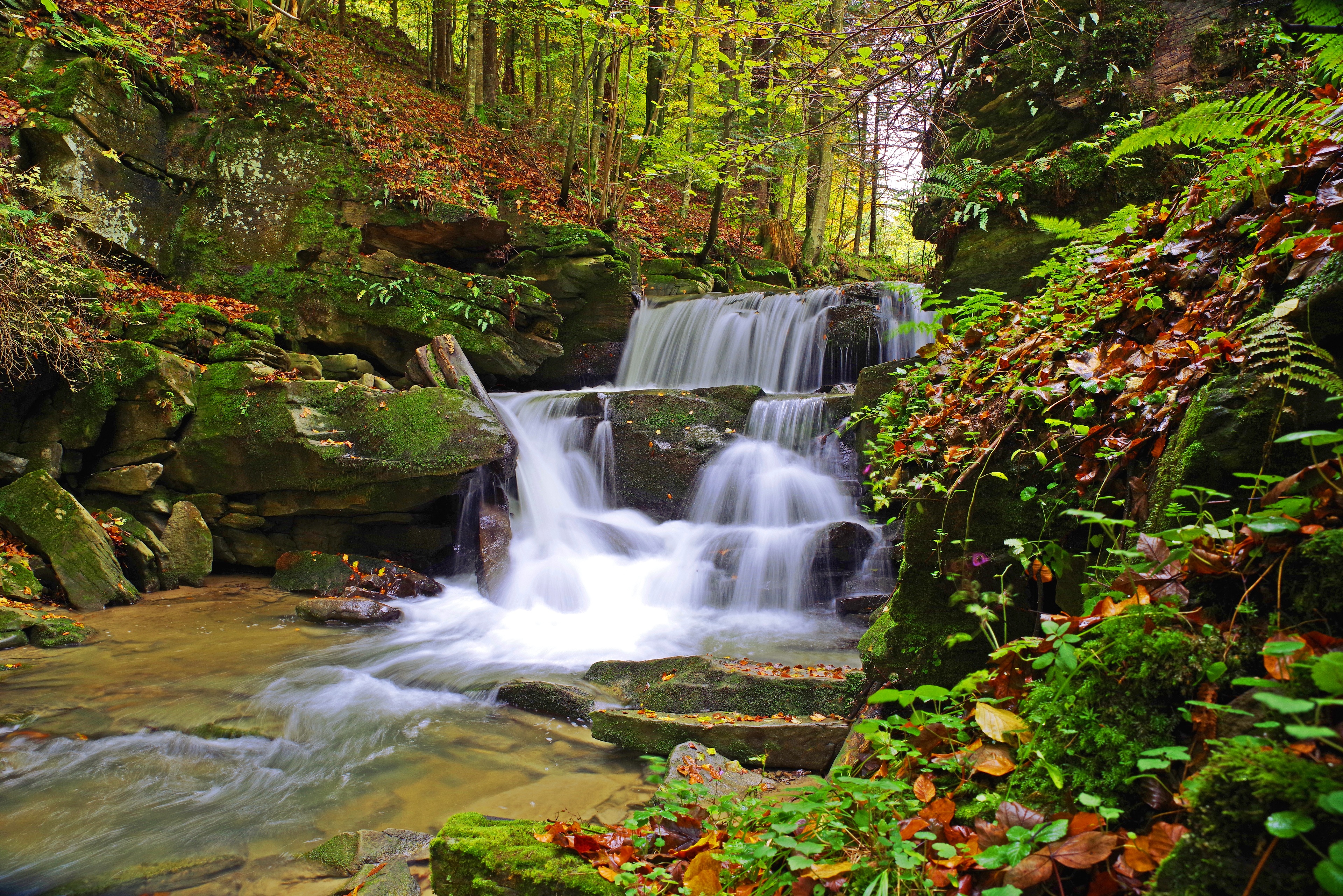 Wallpapers rocks autumn Poland on the desktop