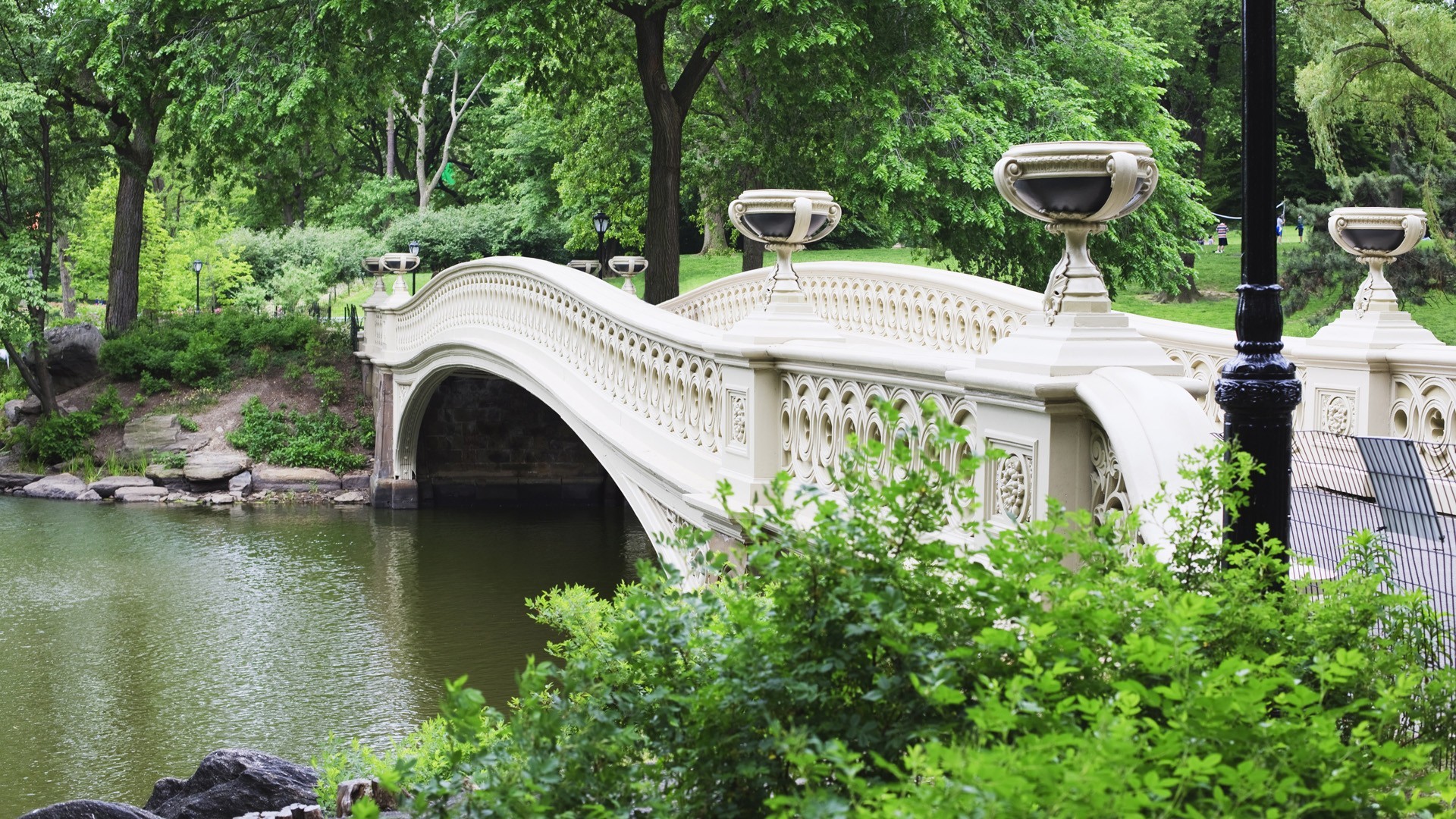 Wallpapers garden New York pond on the desktop