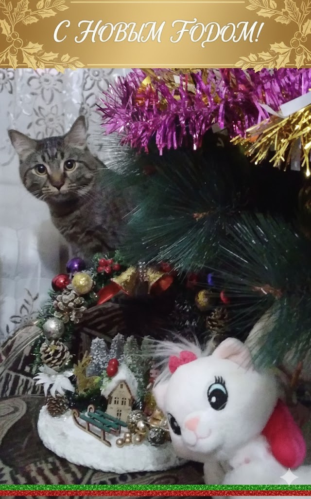 Бесплатная открытка Новогодний котик Лев