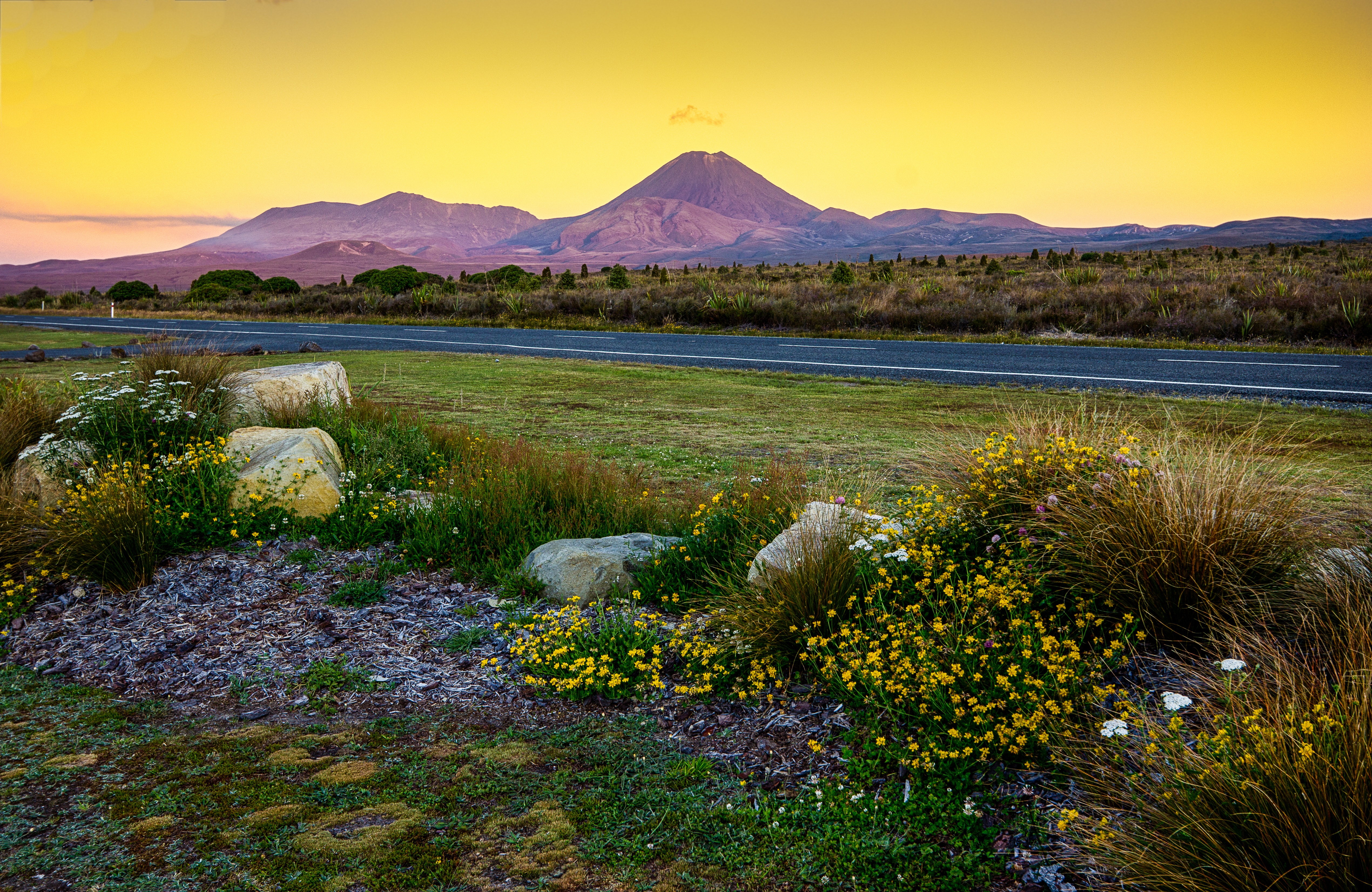 Free photo Flowers growing near a country road with a mountain backdrop