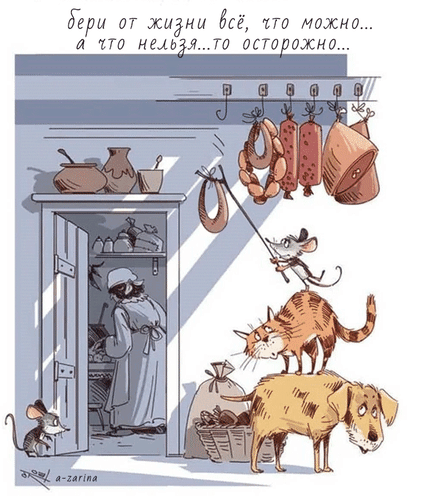 主题为生活 幽默感 明信片的明信片免费下载