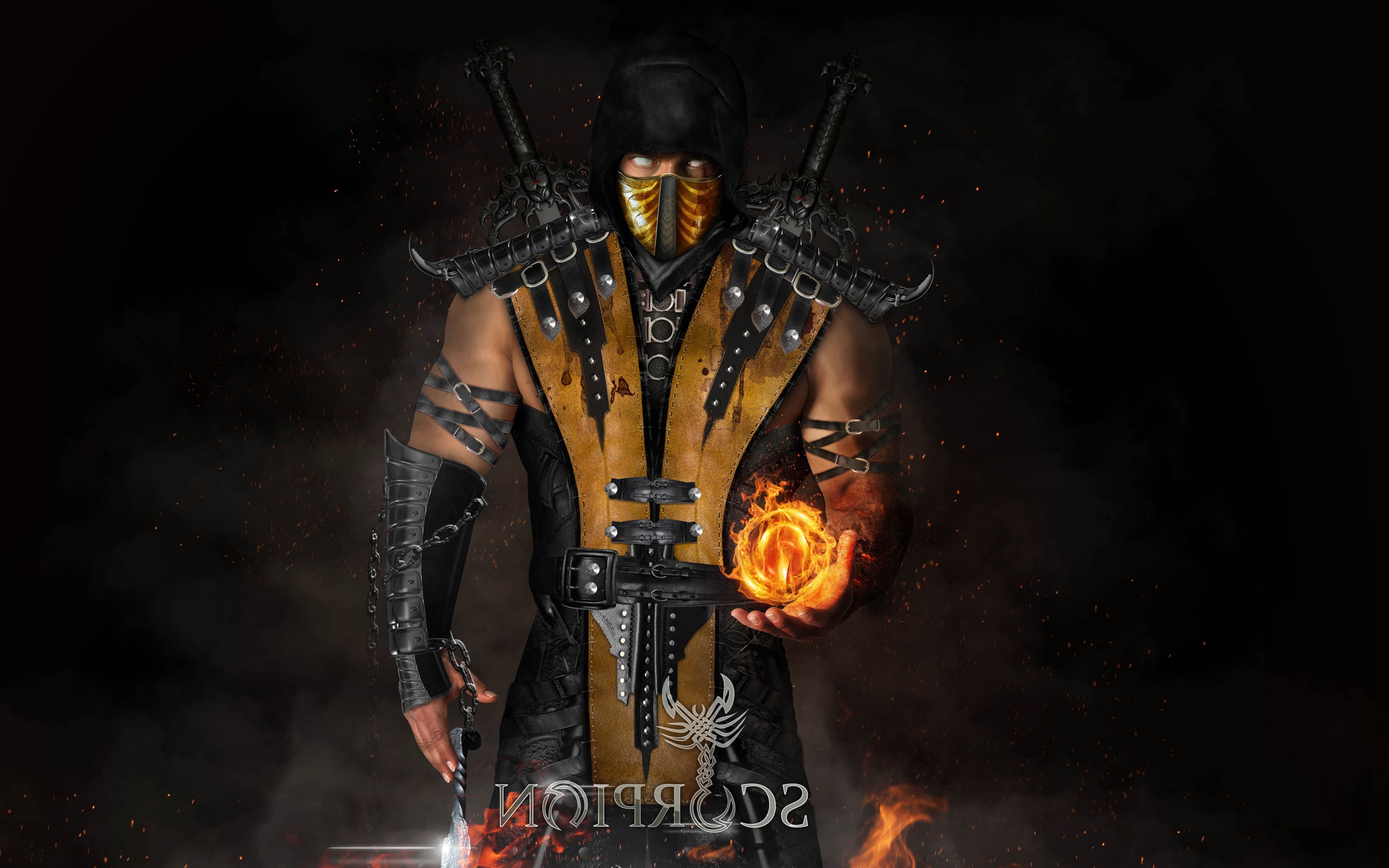 桌面上的壁纸电脑游戏 蝎 游戏