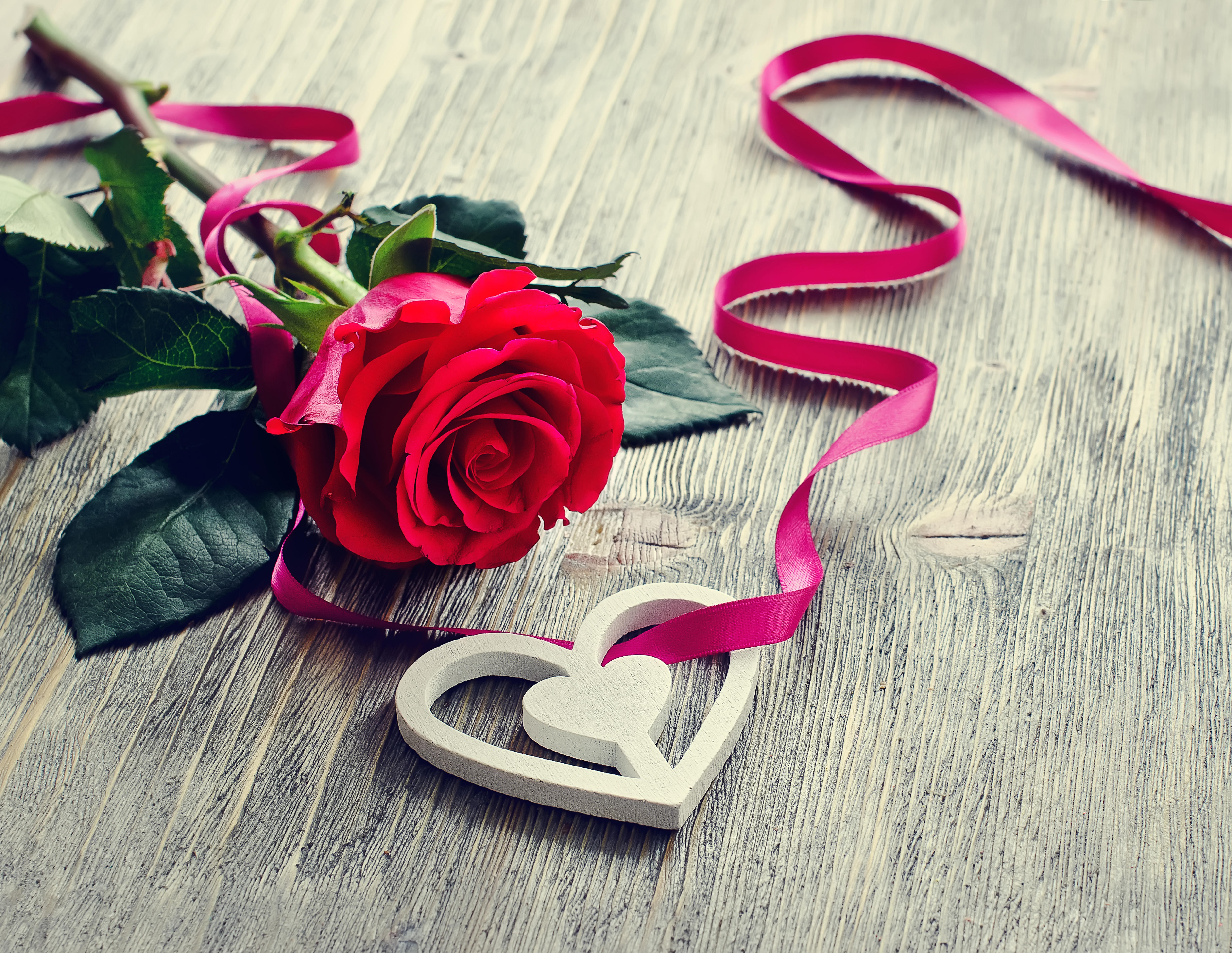 Free photo A lone rose lies on a wooden table