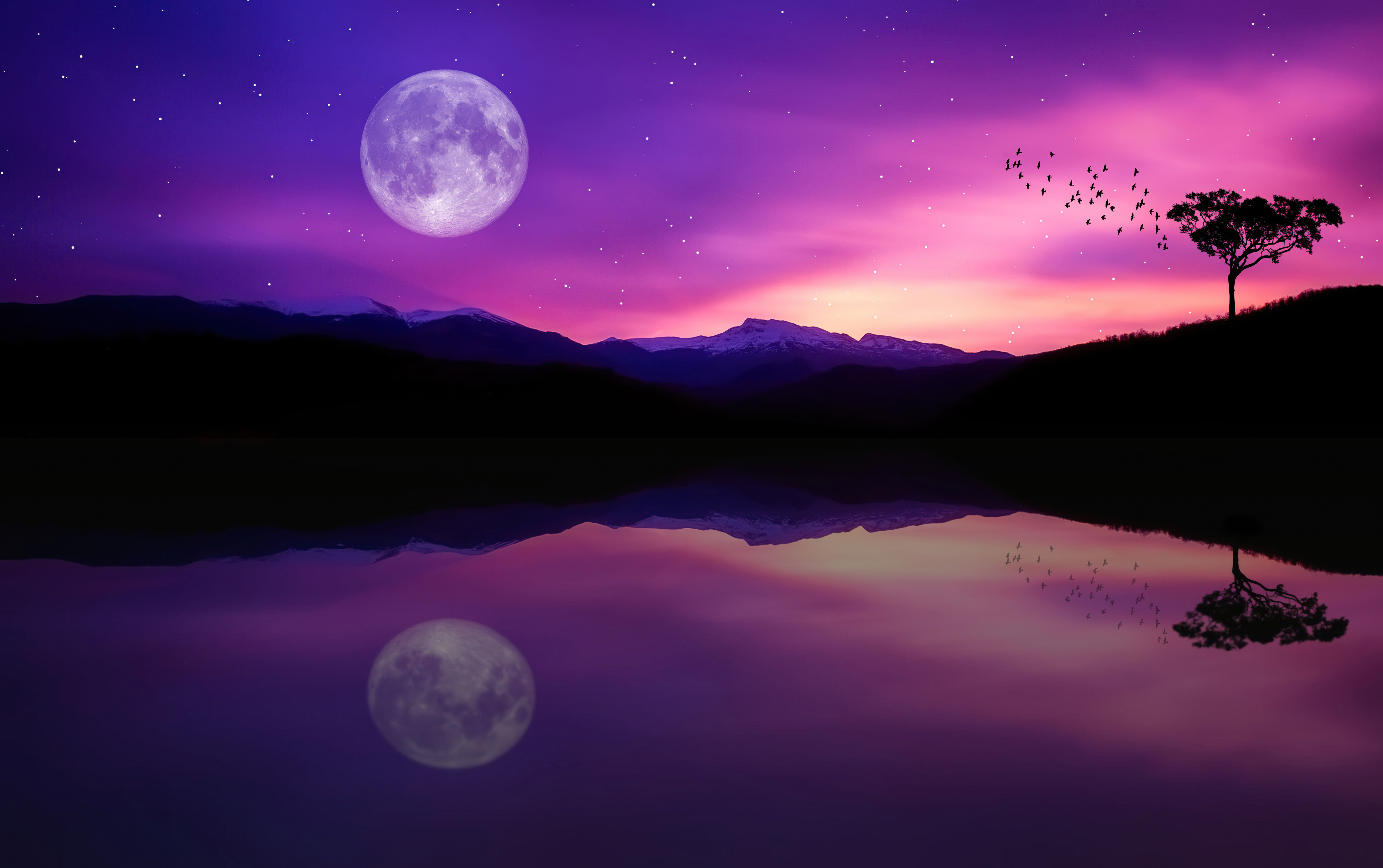 紫色天空中的月亮
