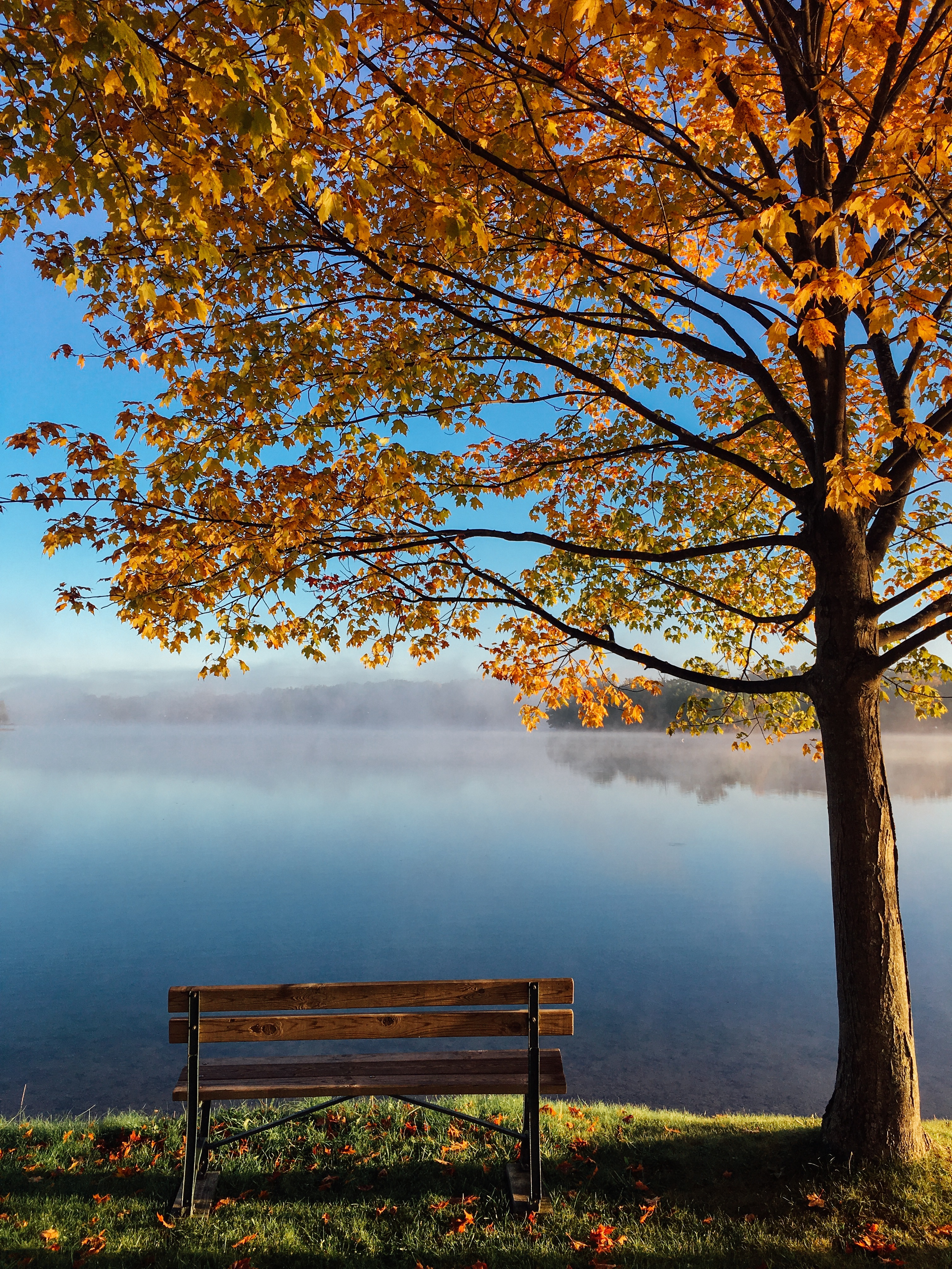 Free photo Autumn nature by the lake