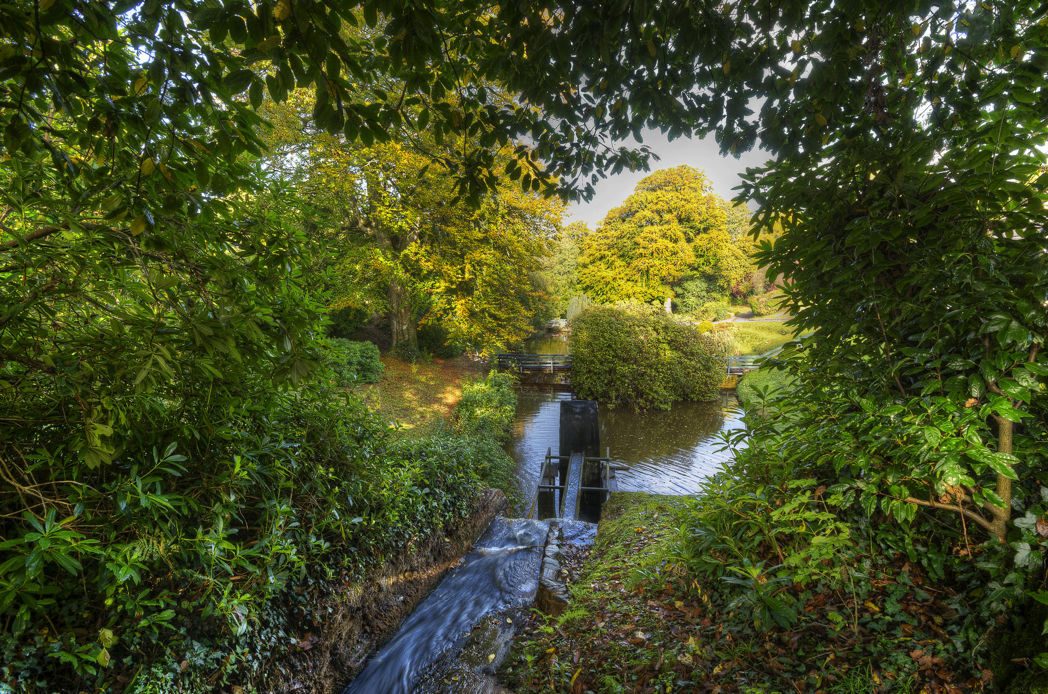 Wallpapers stream trees bridge on the desktop