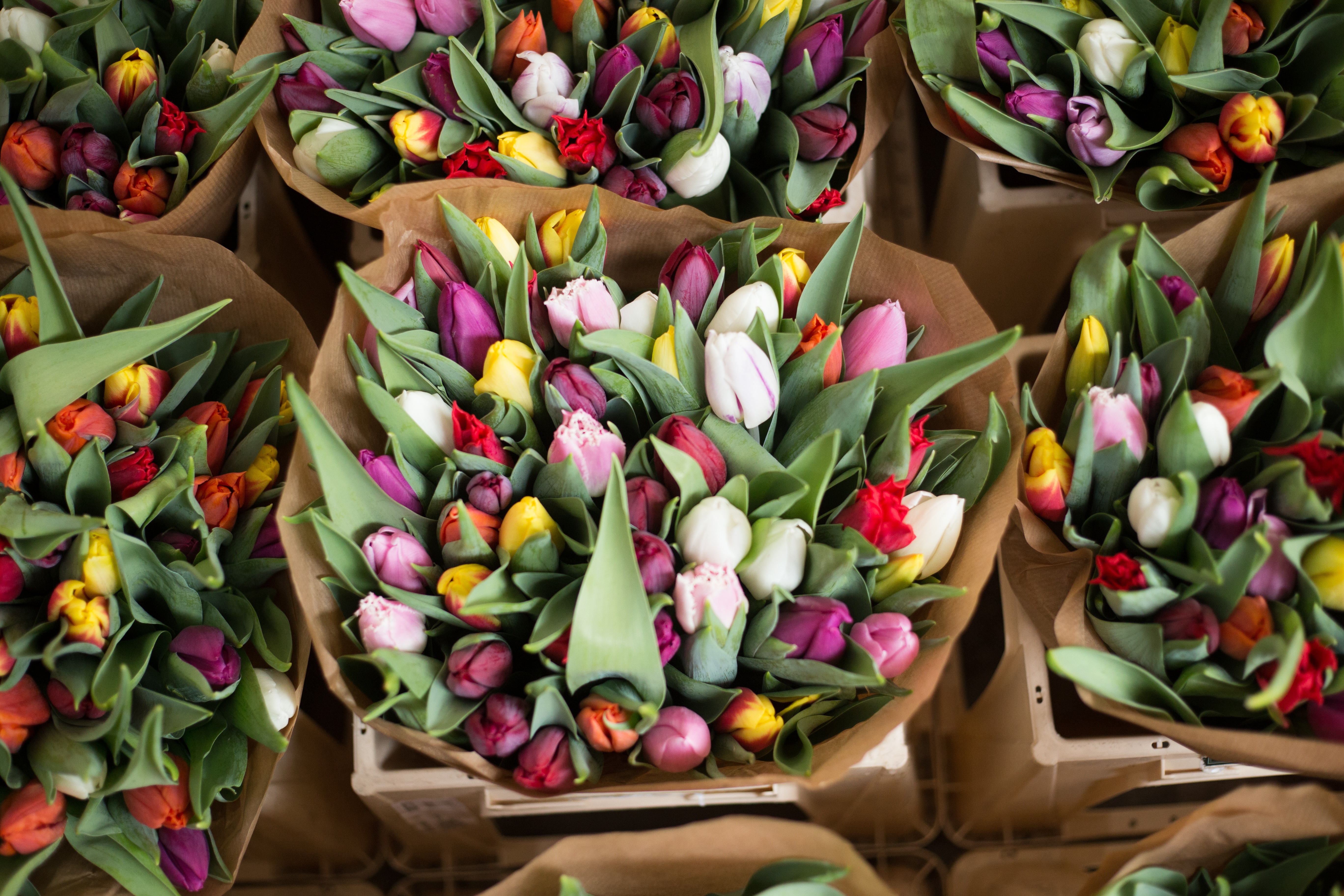 Free photo Beautiful bouquets wrapped in paper