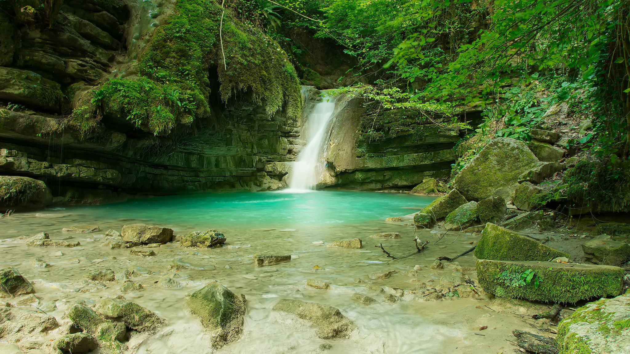 Free photo Photo for free the pond, the forest and without check