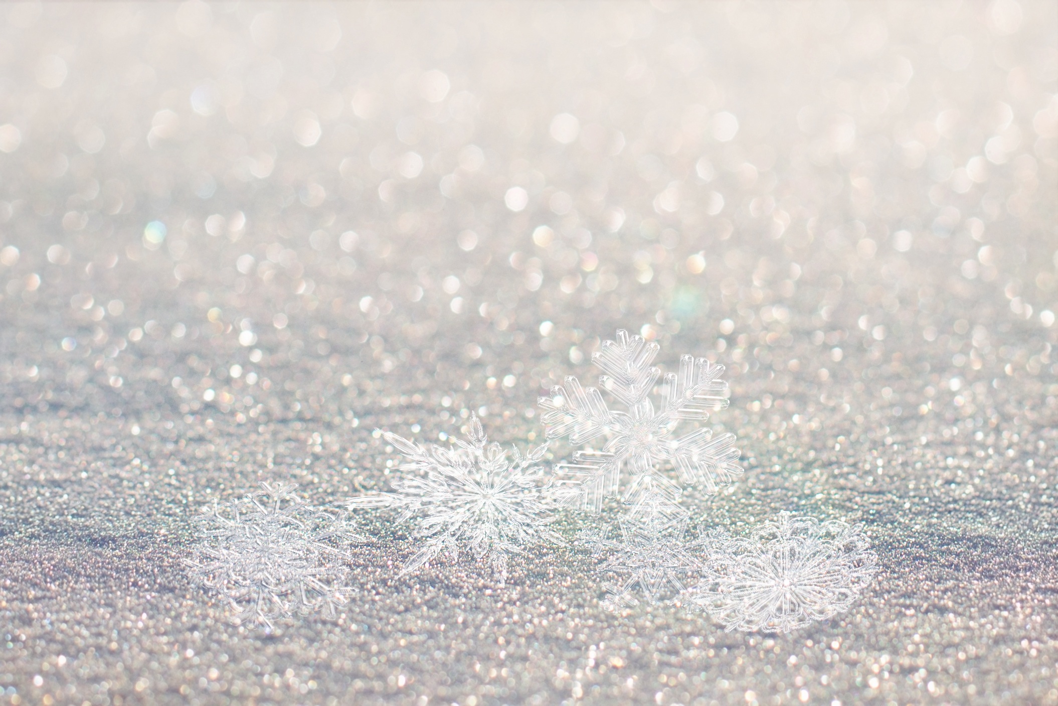 Free photo Snowflakes in the snow