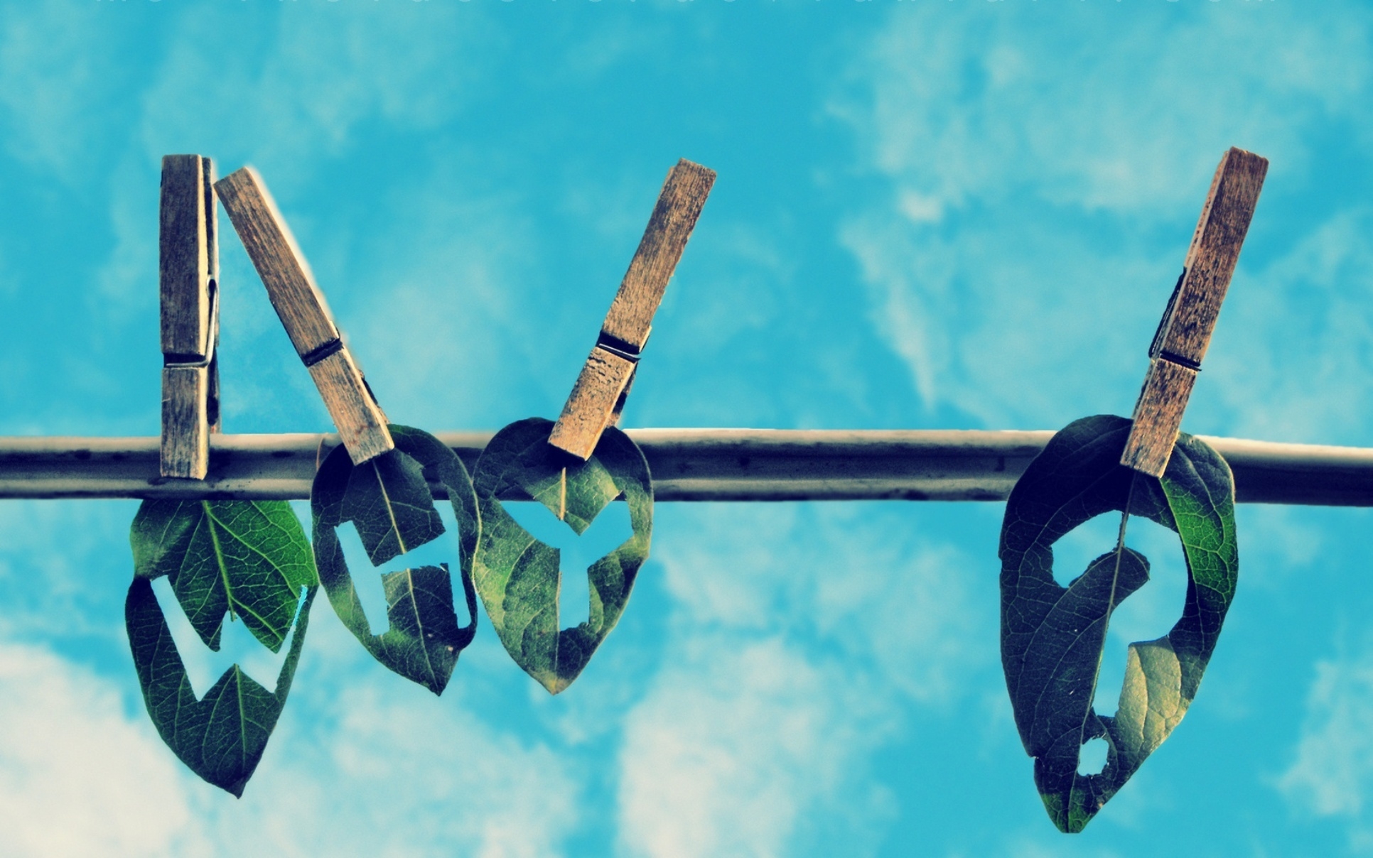 Обои прищепки листья веревка на рабочий стол