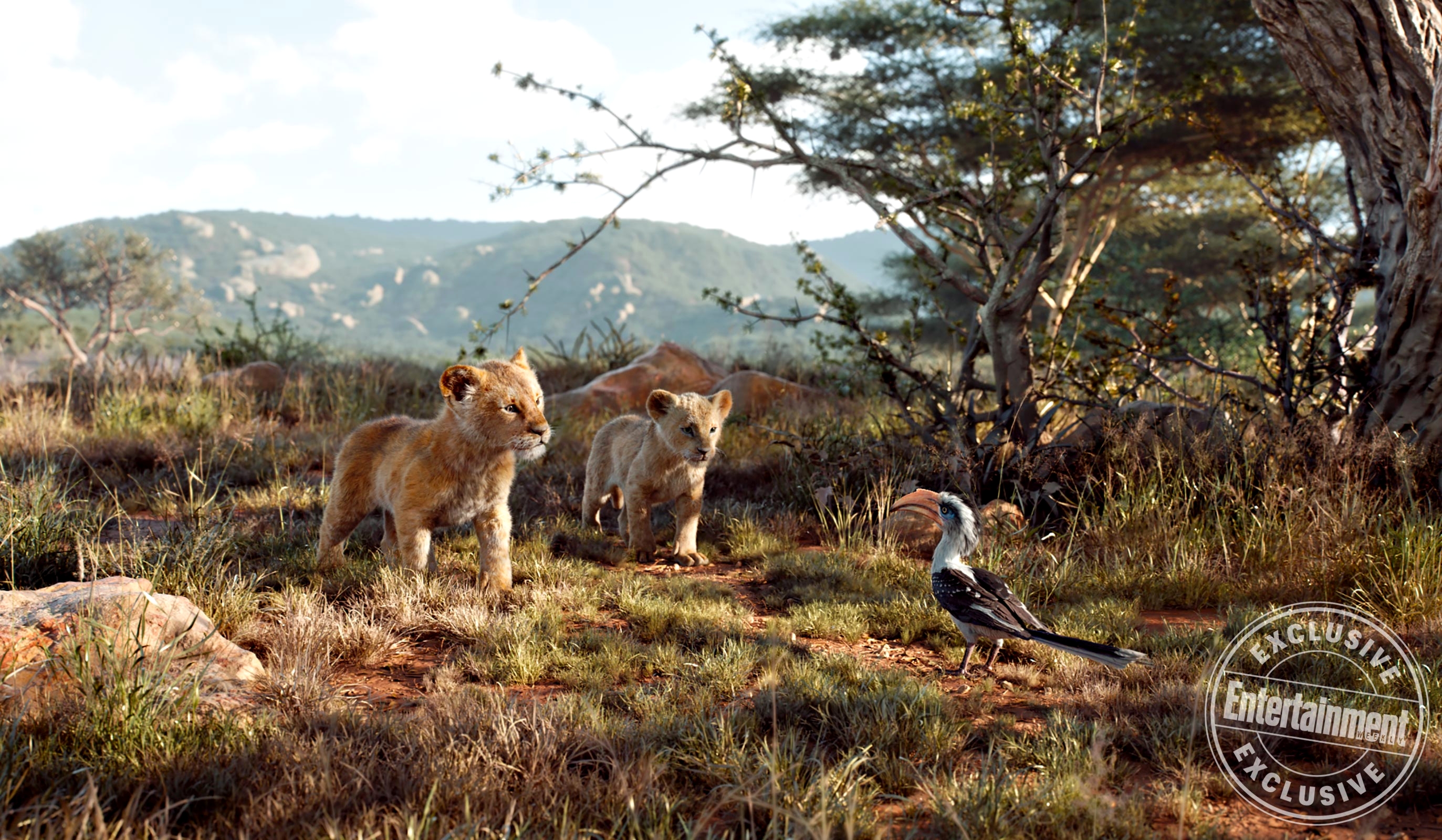 Wallpapers Simba Nala children on the desktop