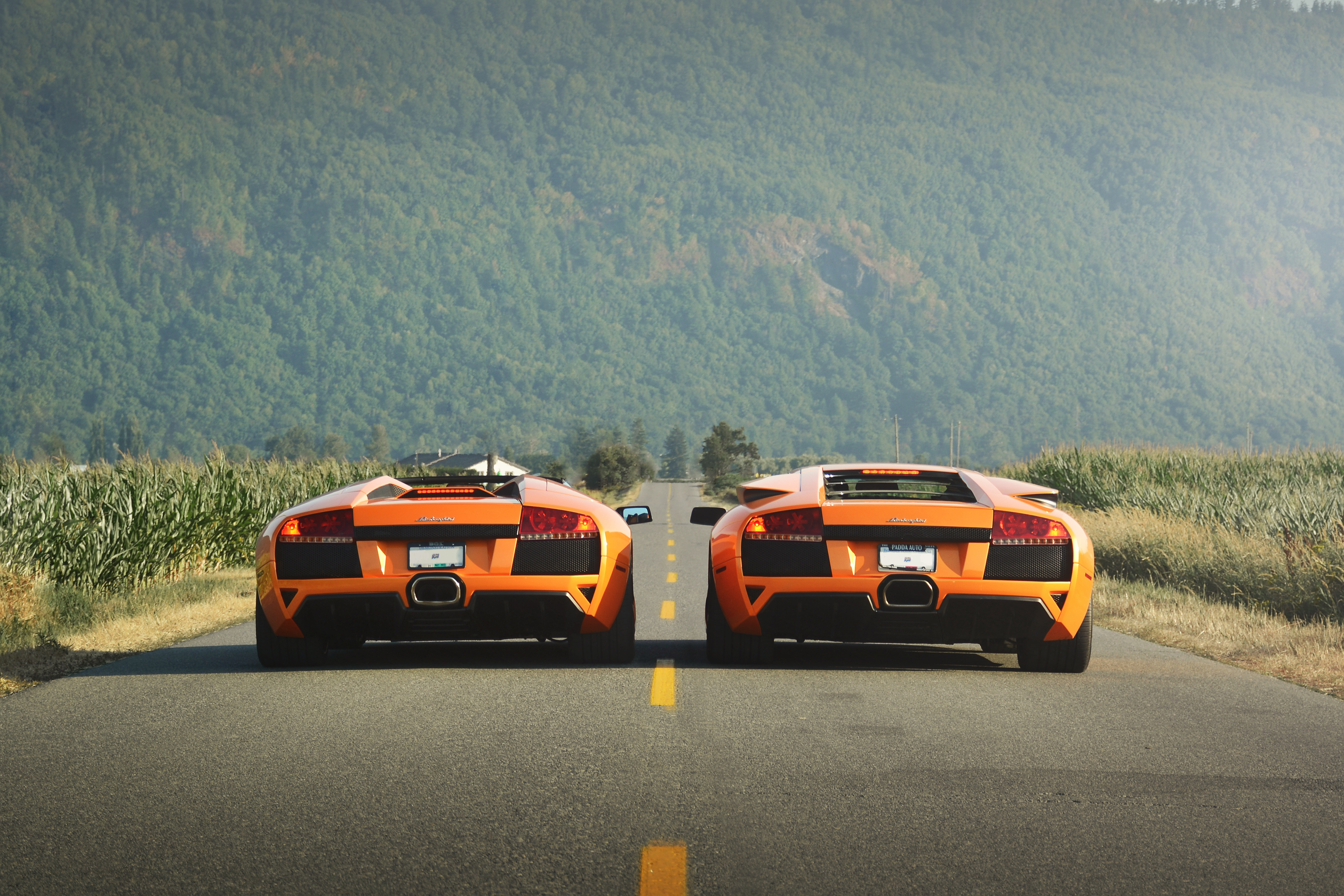 Free photo Two orange lamborghini murcielago