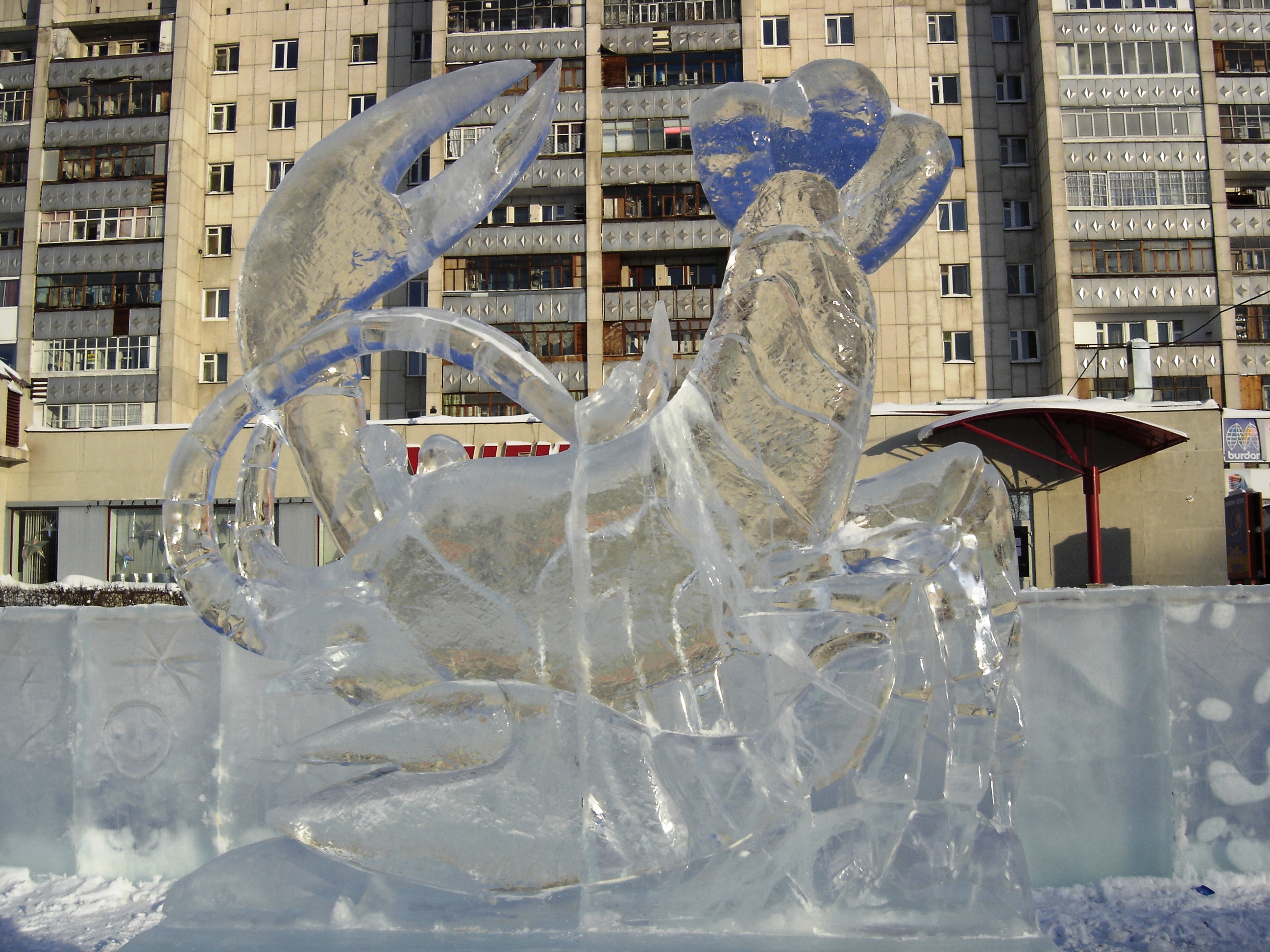 Бесплатное фото Зимние фигуры изо льда рак