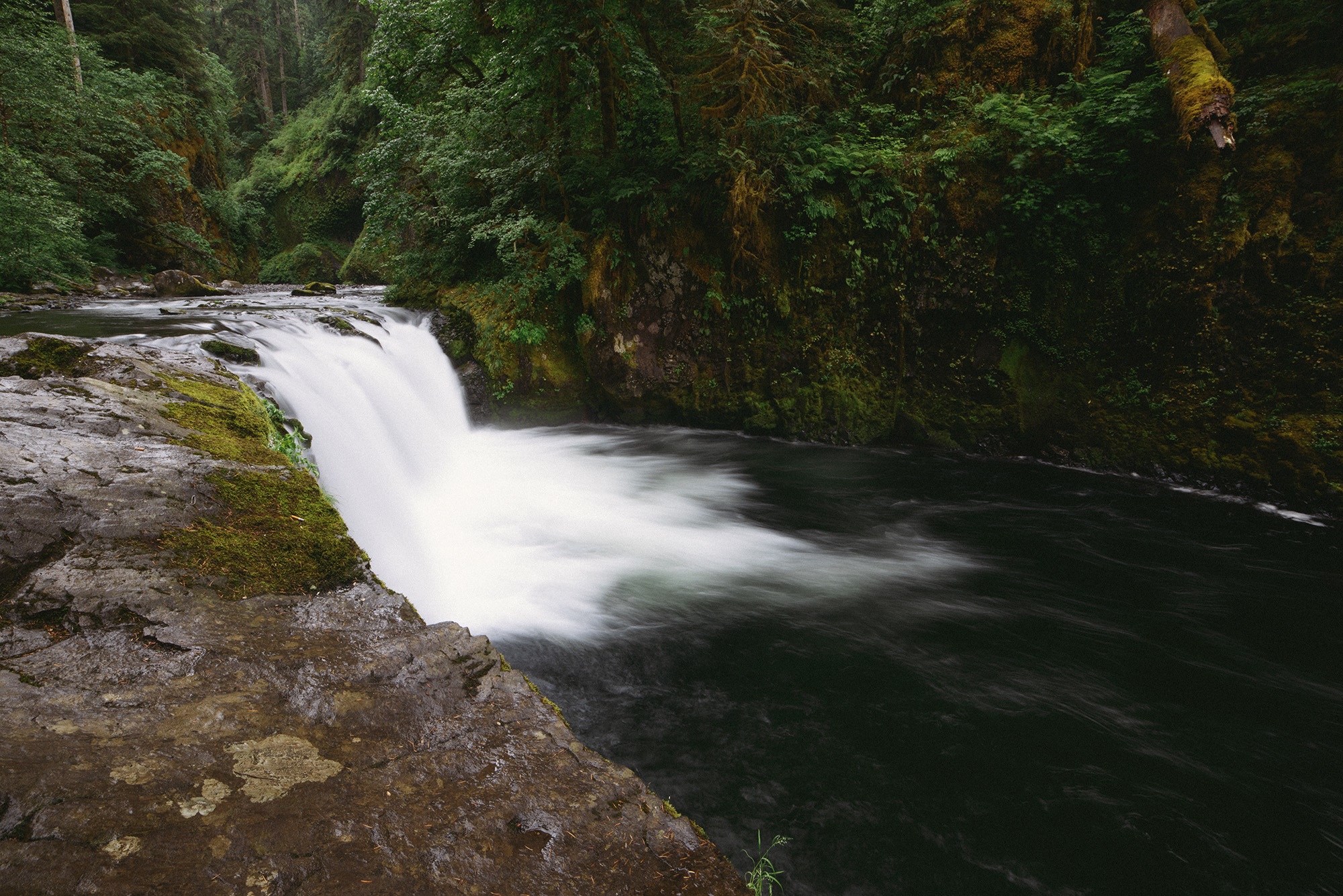 Free photo A low waterfall in the woods