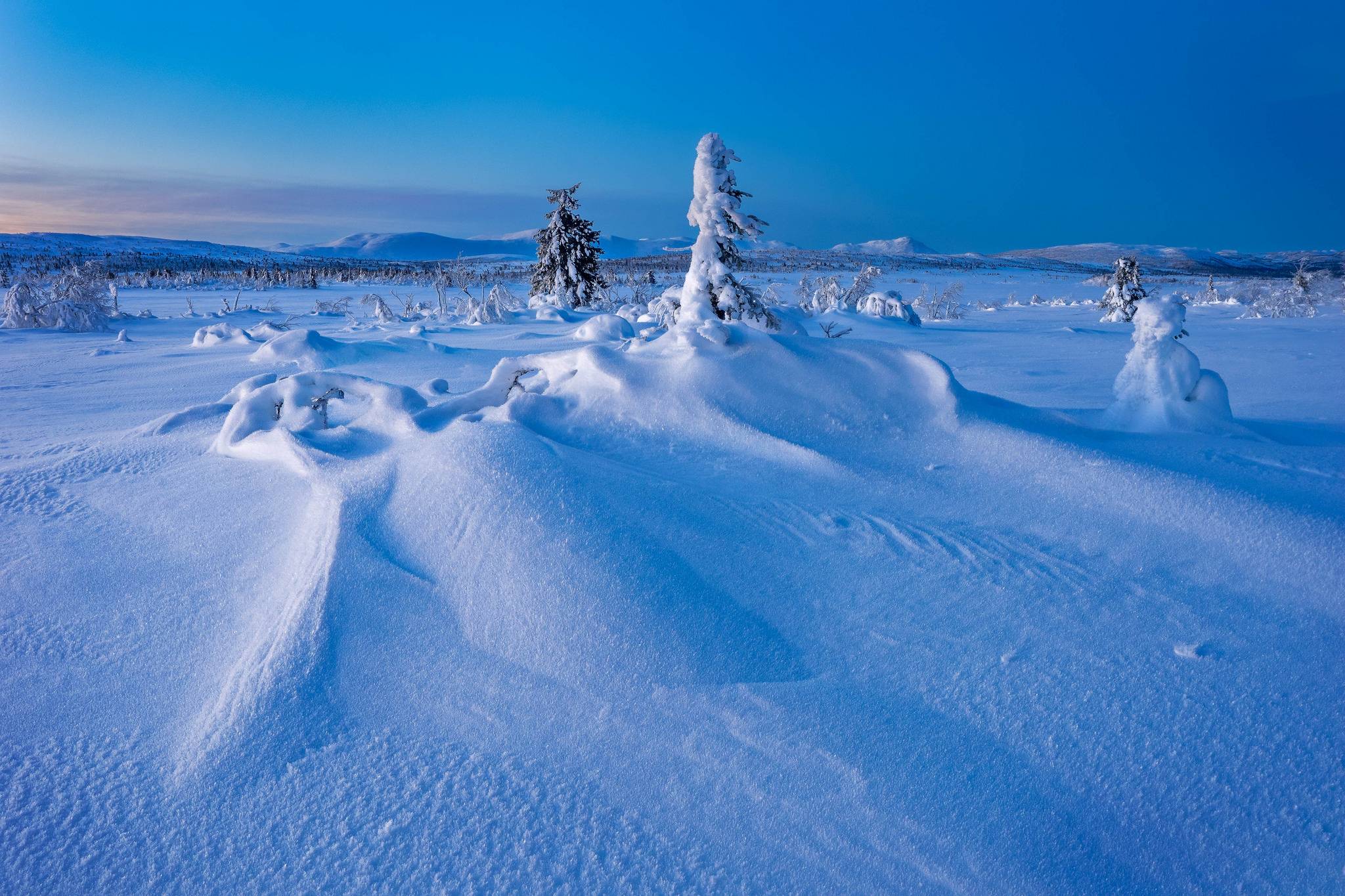 Обои Gitsfjallets nature reserve Lapland Sweden на рабочий стол