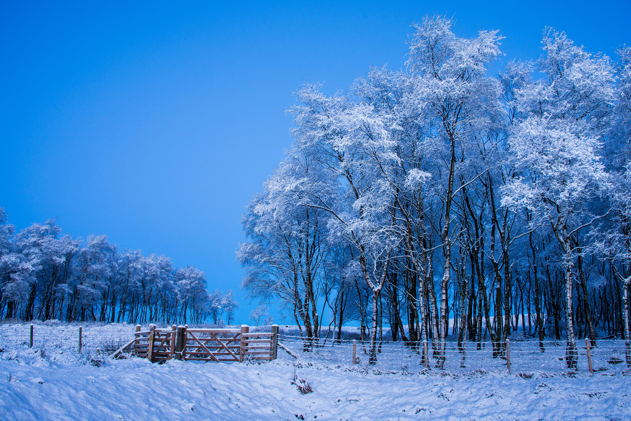 Wallpapers landscape snow field on the desktop