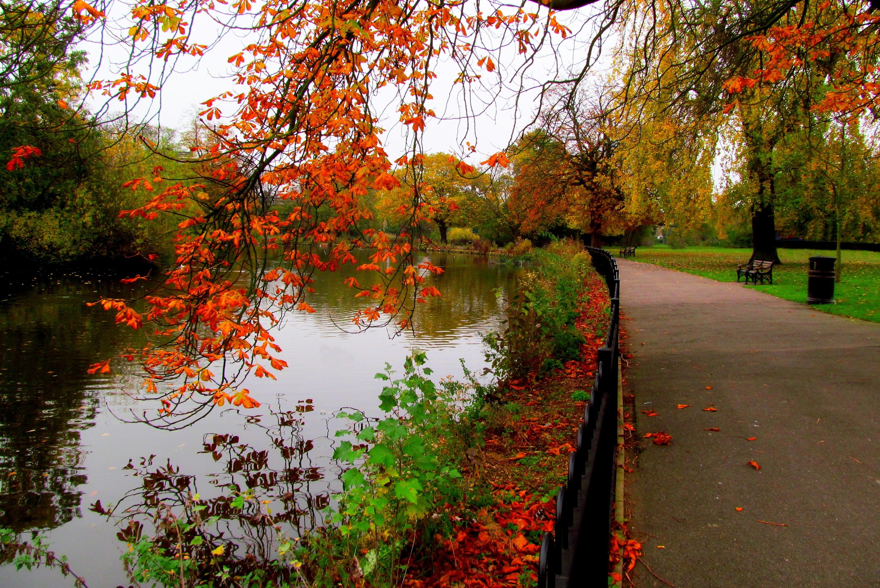 Wallpapers alley autumn forest on the desktop