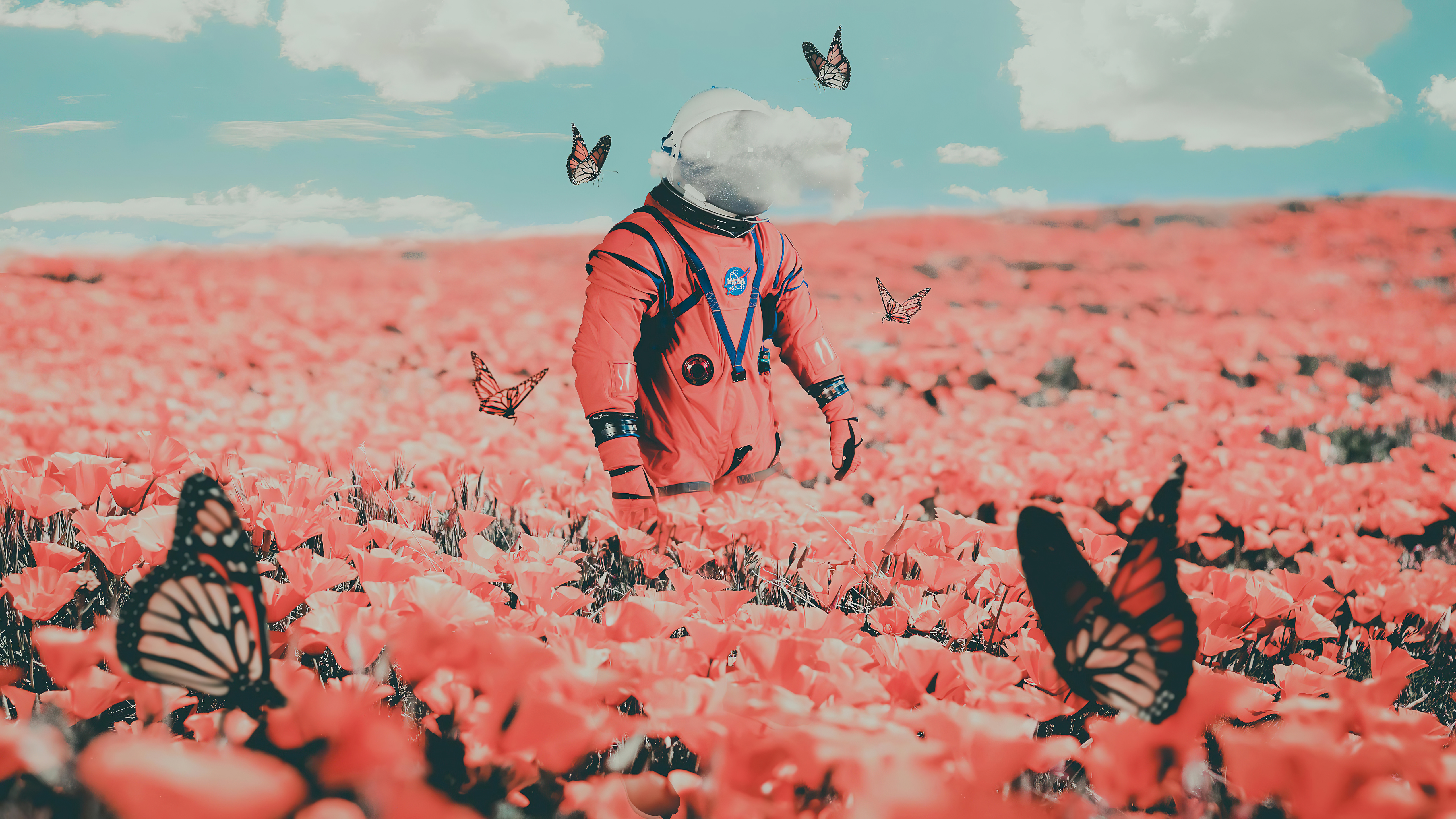Astronaut on the field with pink flowers and butterflies