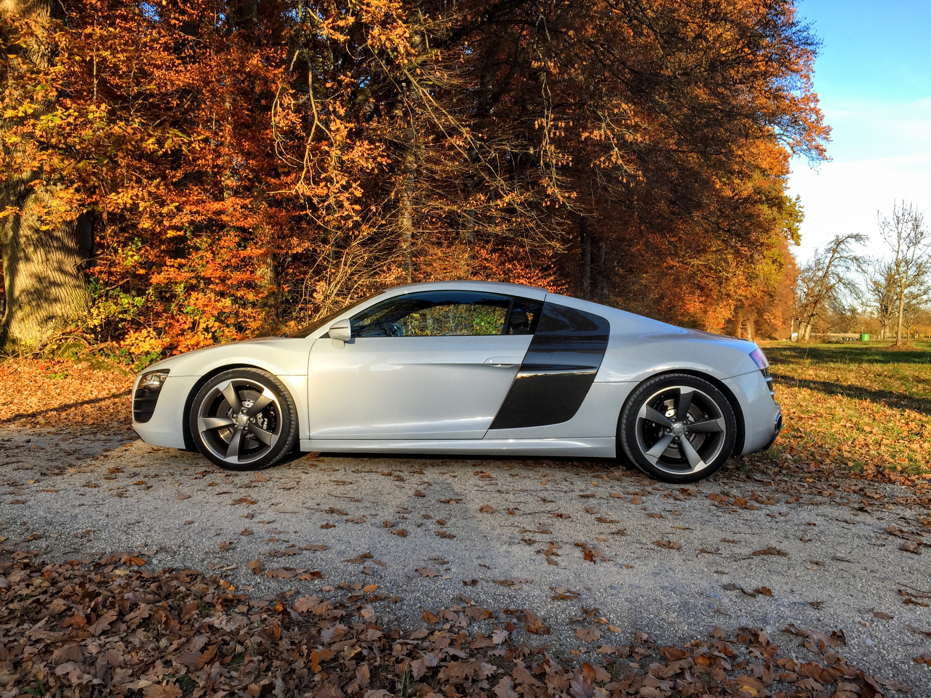 Free photo A white Audi R8 next to an autumn tree