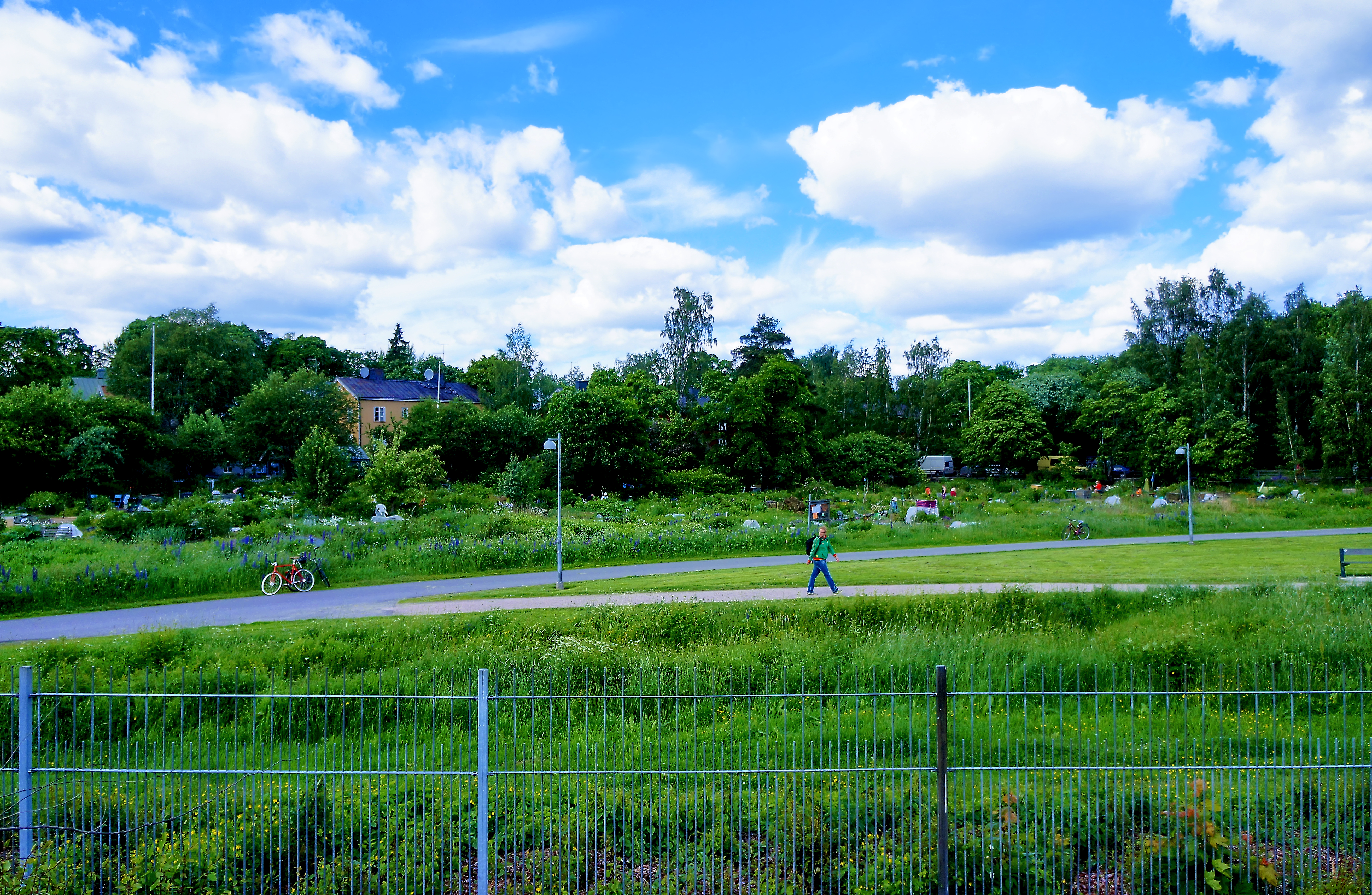 Обои пейзаж дерево природа на рабочий стол