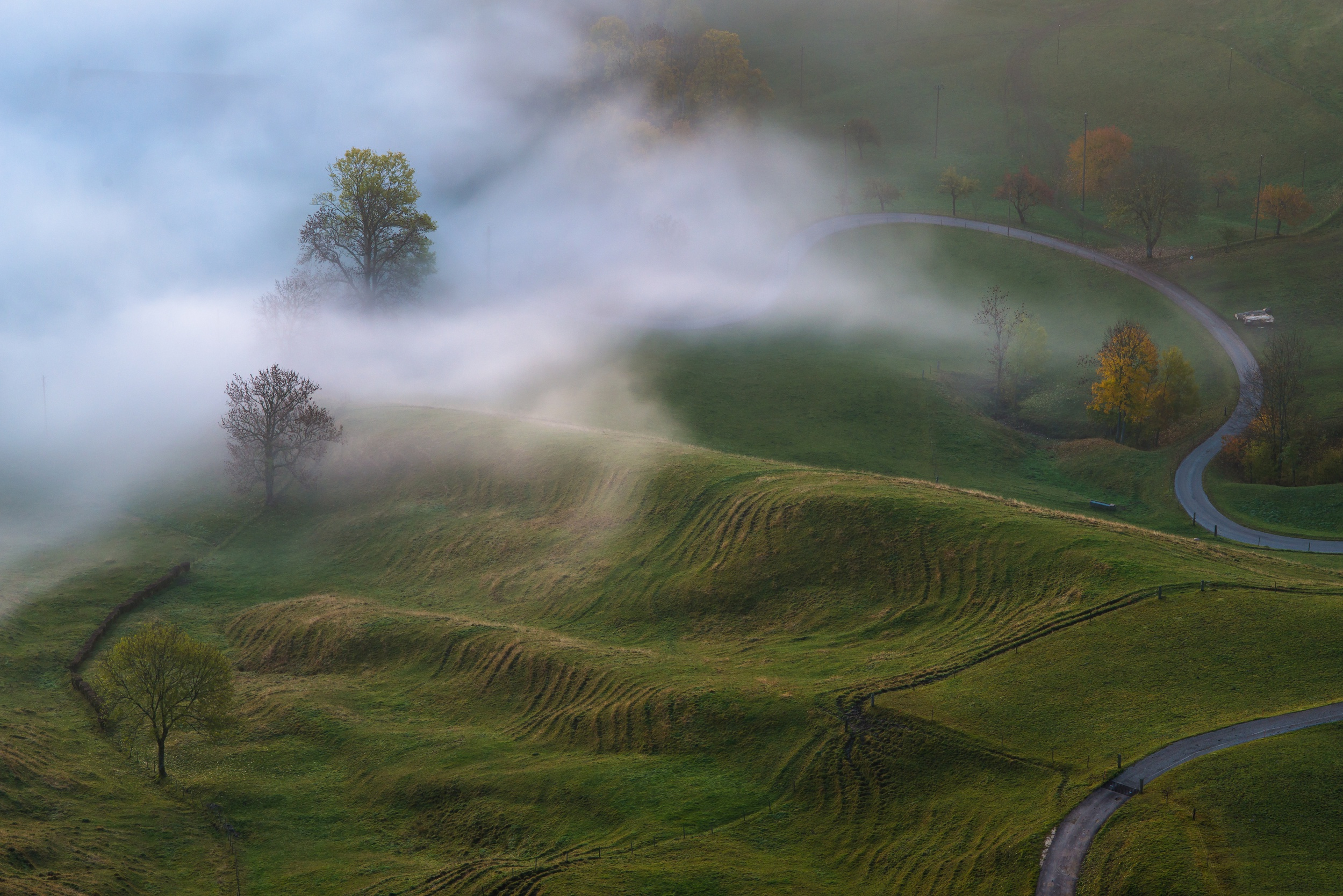 Туман летним утром в холмистой местности