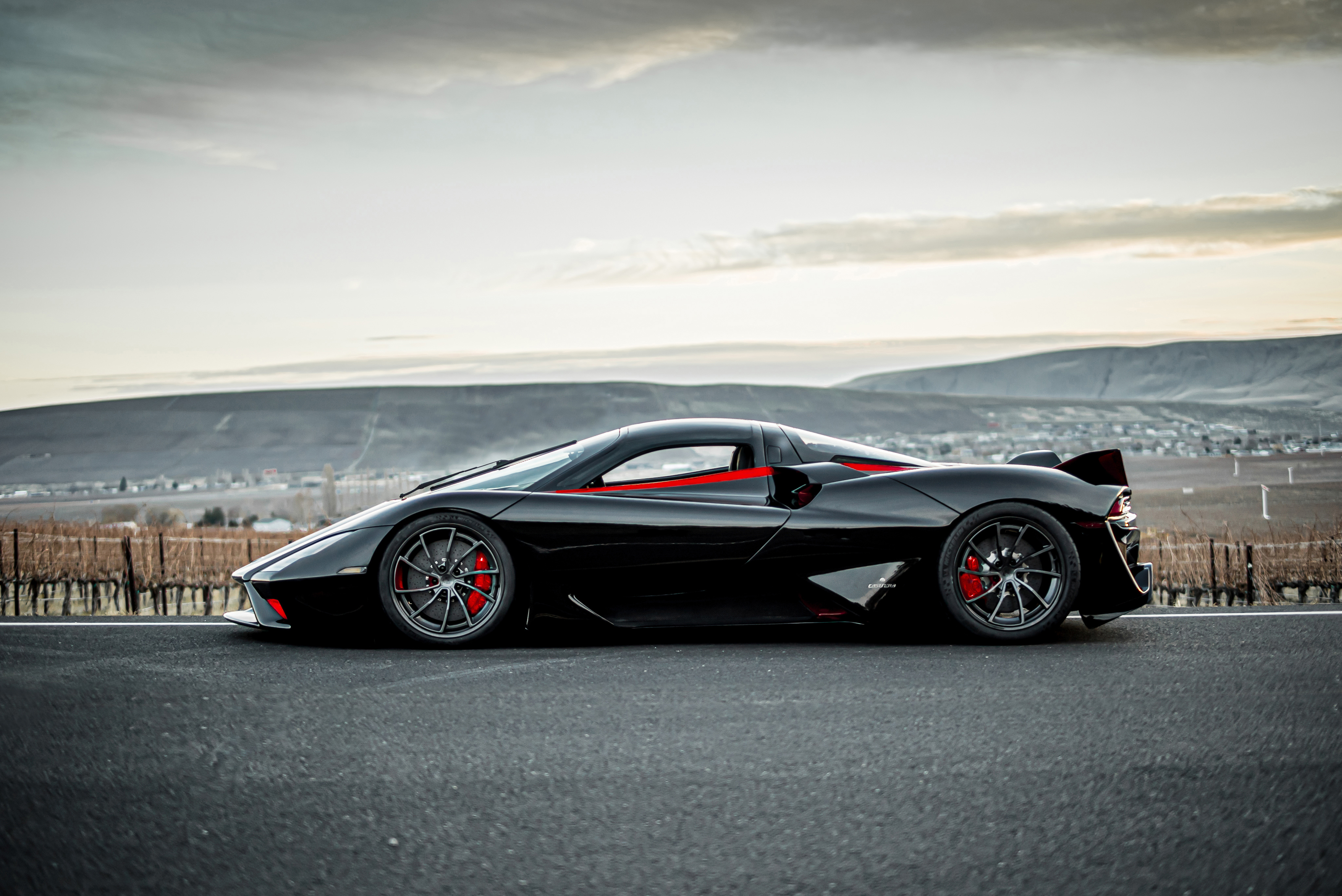 Black ssc tuatara with red inserts side view
