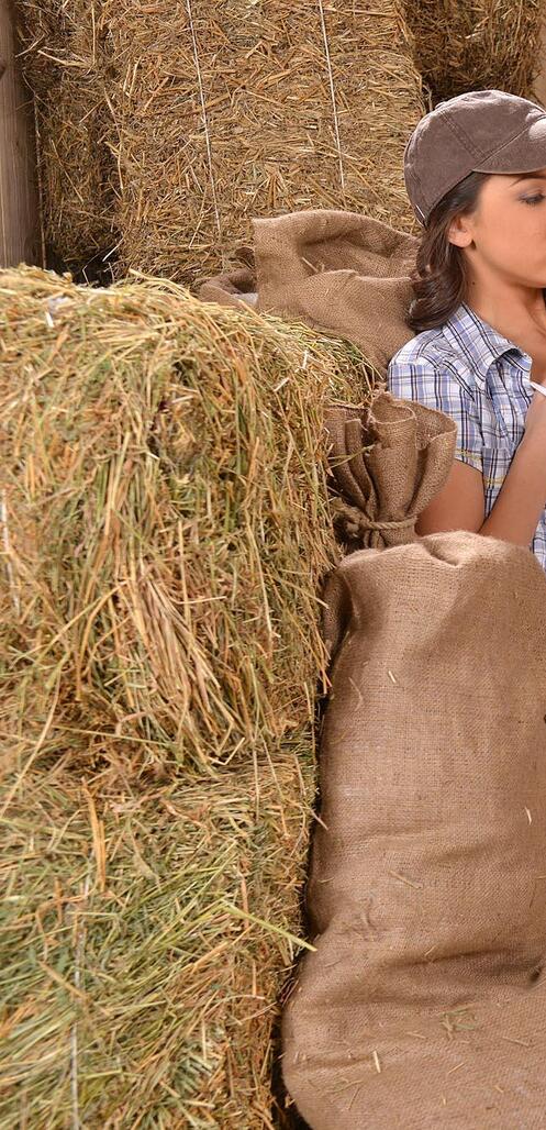 Seksual ayol xojayin va gozal kotiba Porno com ks garr potter