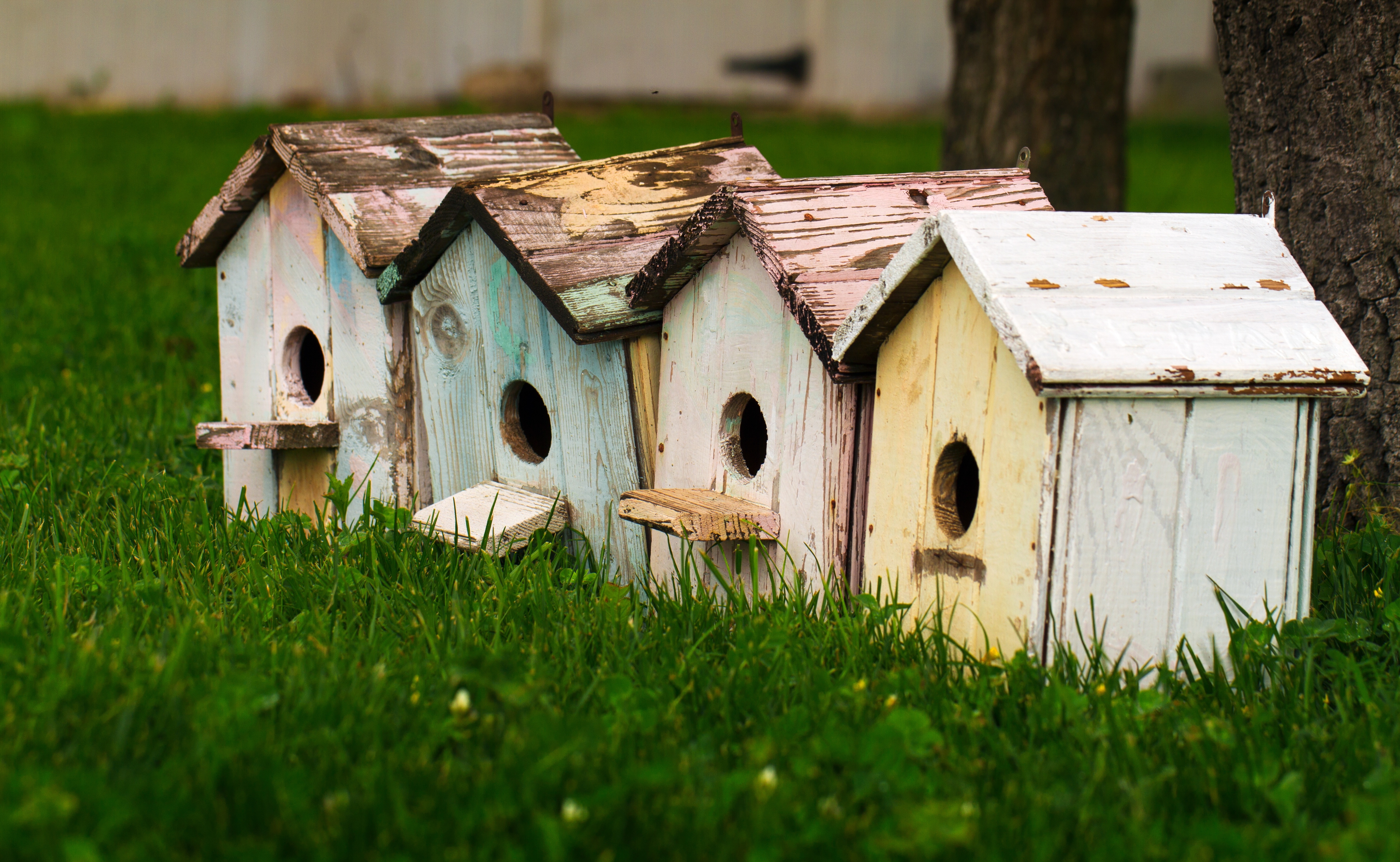 Wooden birdhouses stand on the green grass